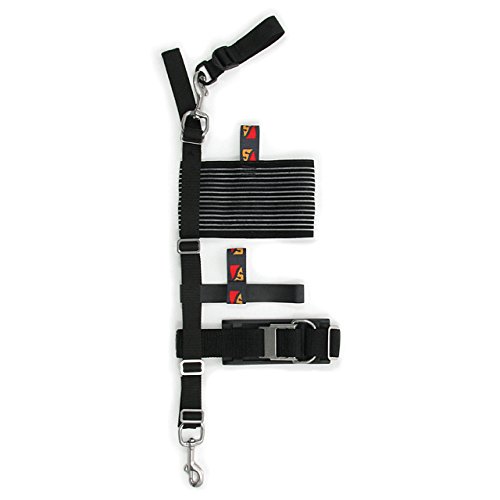 dive rite travel stage strap