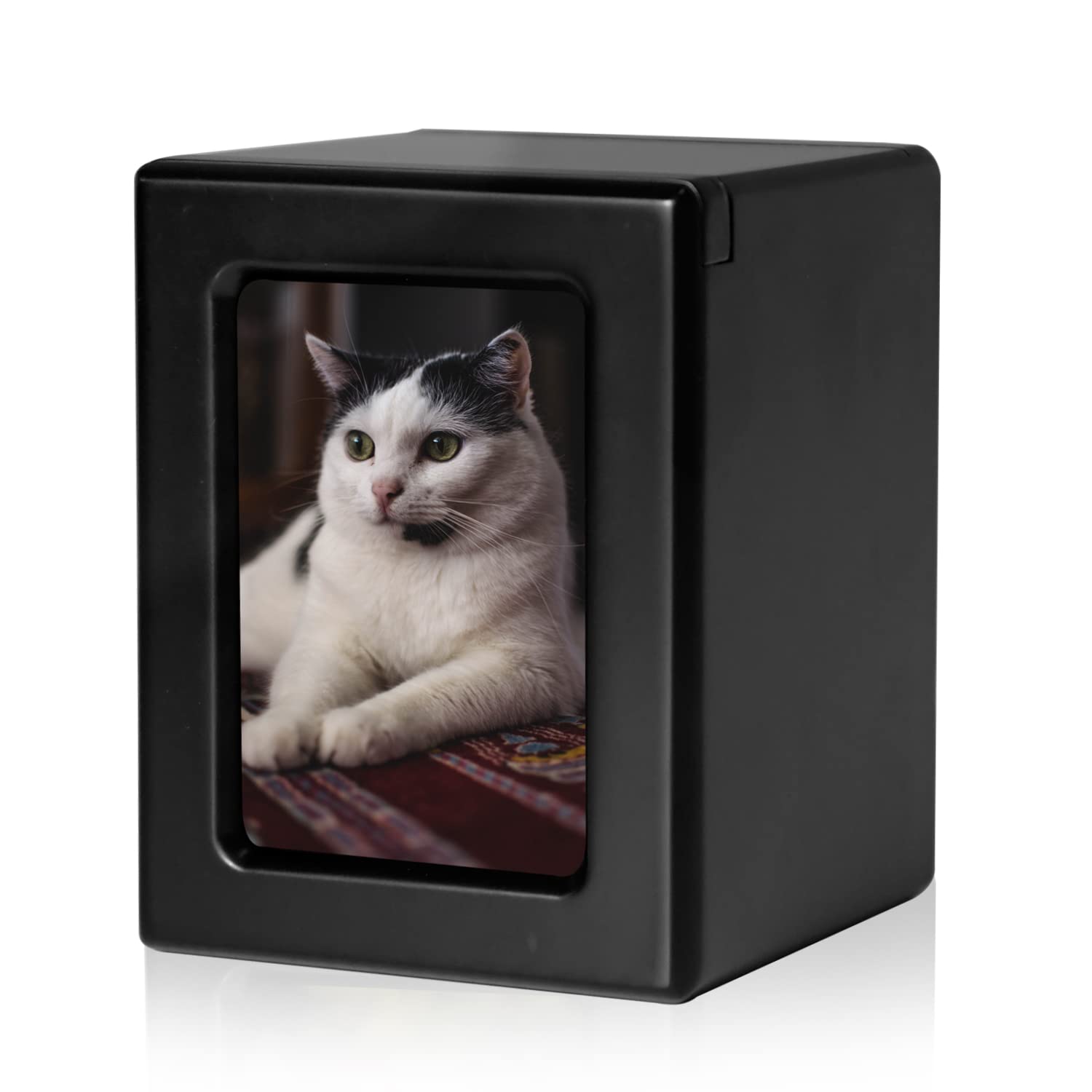 Pet photo urns for clearance ashes