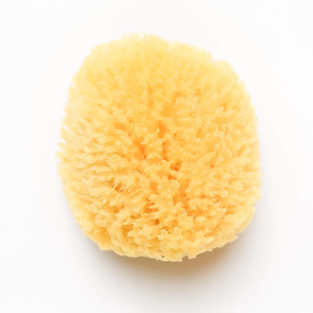 5 inch natural sponge