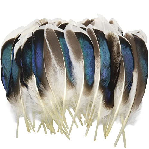 PATIKIL 4-6 Inch Natural Feathers, 150 Pack Bulk Feathers for Crafts  Carnival Handwork Clothing Costumes Wedding Party Style 1, Blue - Yahoo  Shopping
