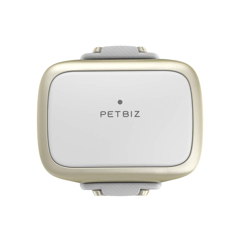 Pet 2024 finder gps