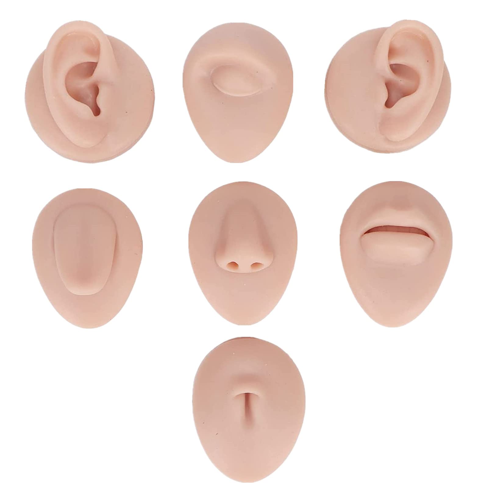 Body Piercing Practice Model Simulation Ear Model Soft Nose Tongue Model  Silicone for Beginners (Medium Skin Color)