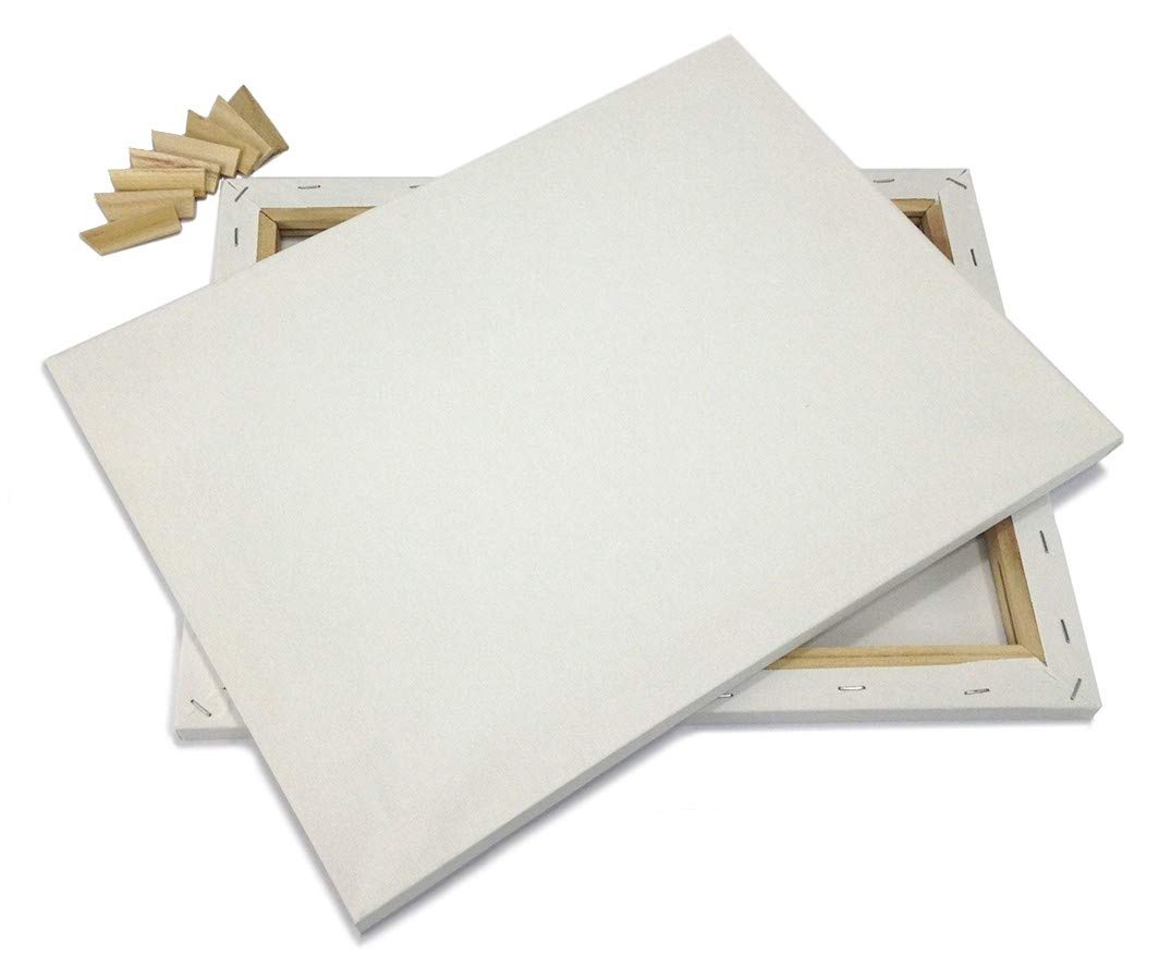 Lot 2 Artist Canvas 12x16 Blank Pre Stretched Framed Cotton Double