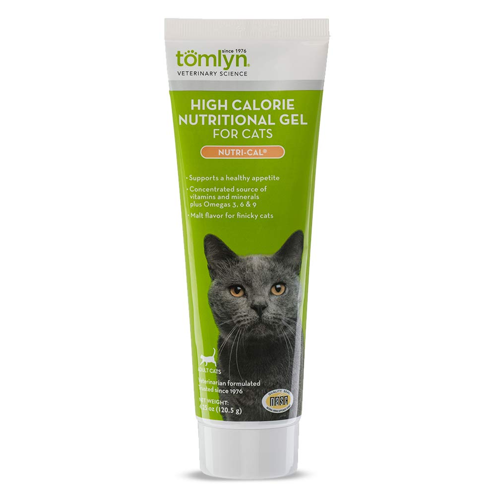 High calorie hot sale kitten gel