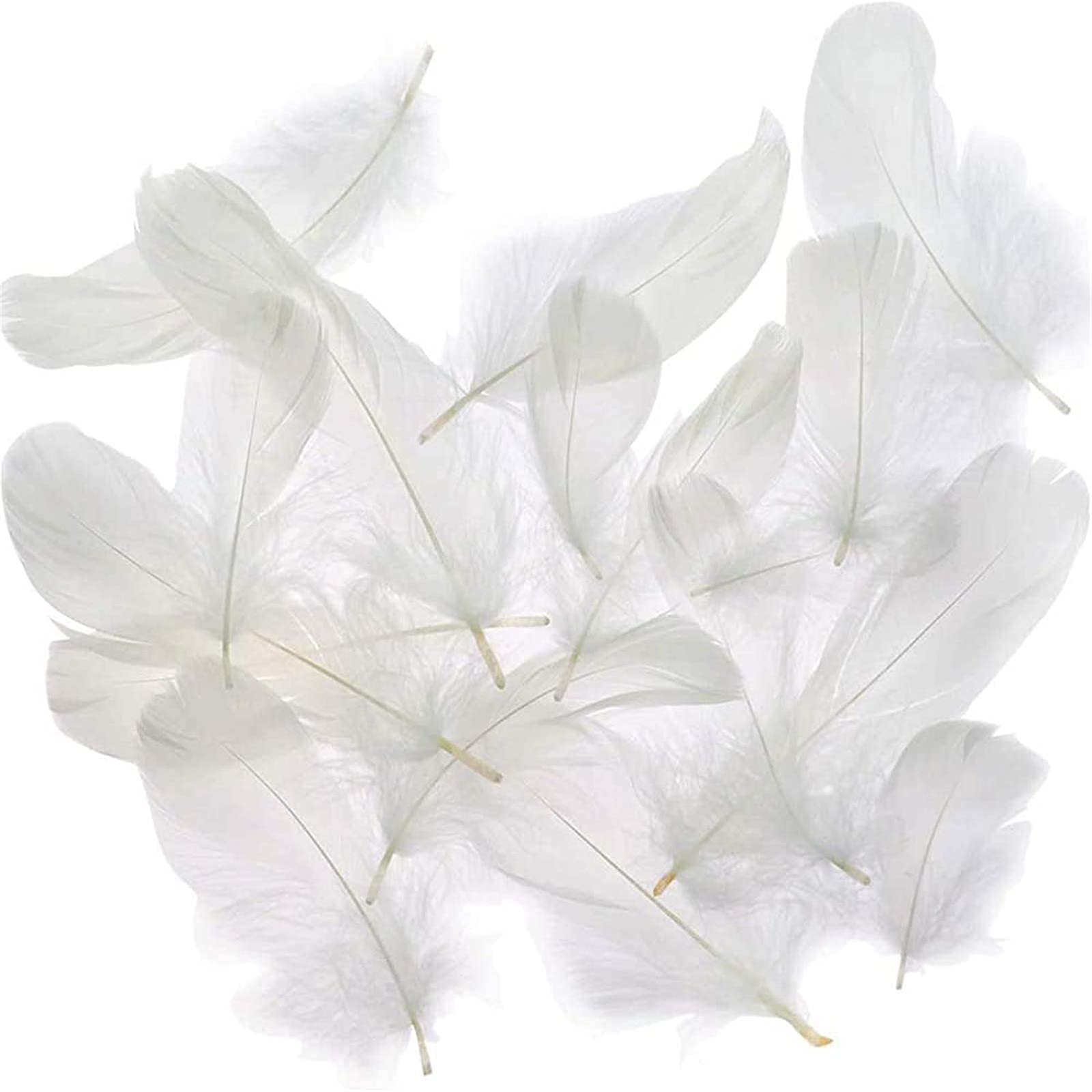 Coceca 500pcs 3-5 Inches White Feathers for DIY Craft Wedding Home