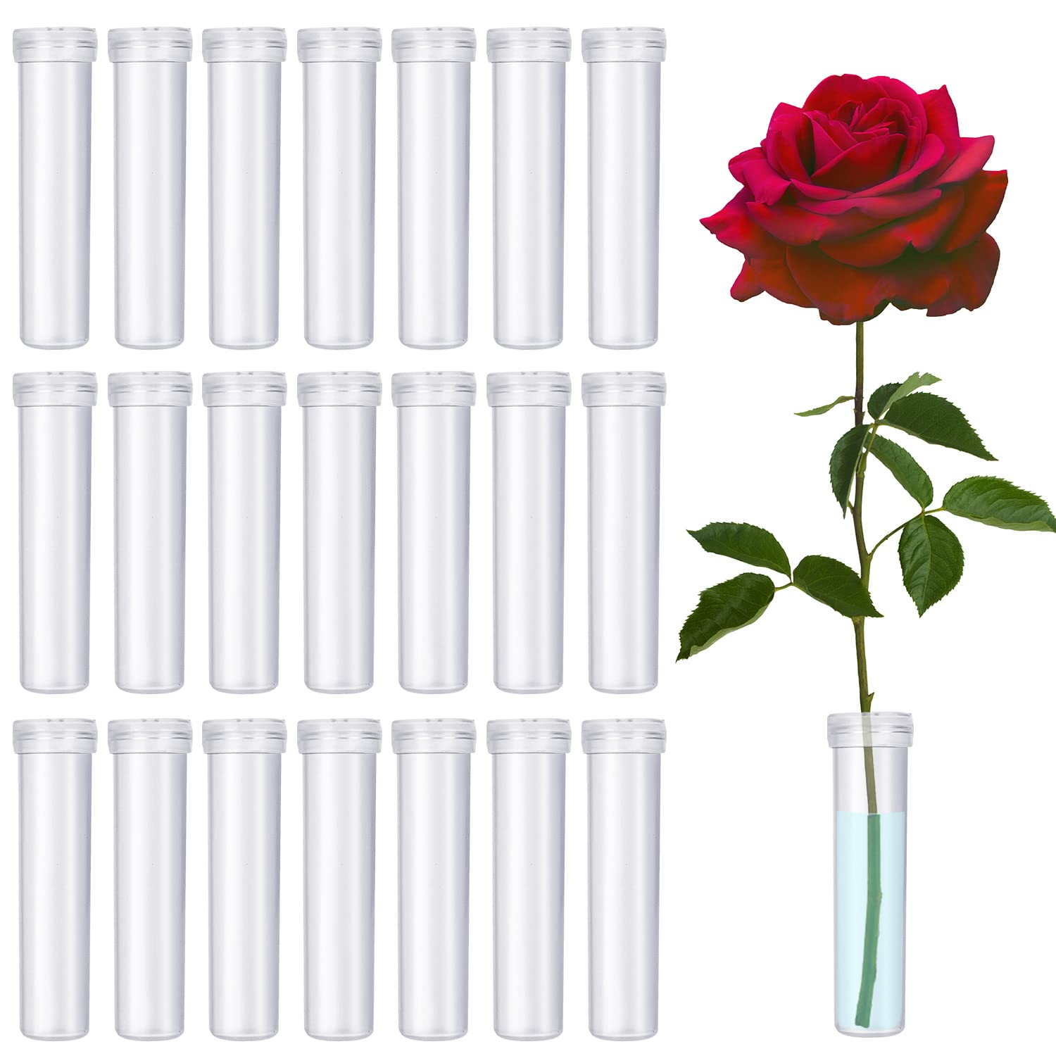 Floral Tube 100-Pack Flower Tube, Flower Vials, Floral Water Tube for Flower  Arrangements,Clear Plastic,0.6 x 0.6 x 2.8 Inches, Opening 3mm 