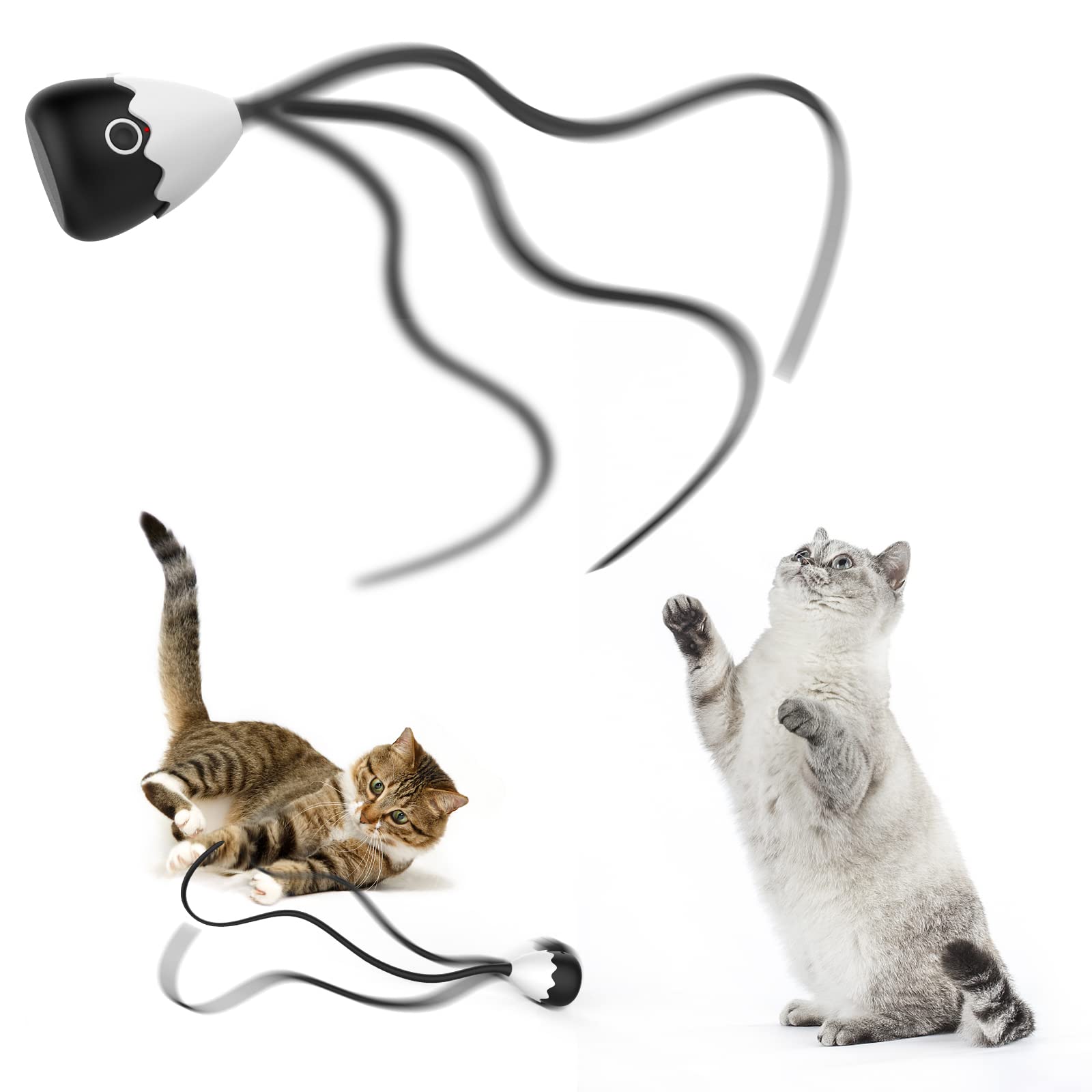 APSUAE Retractable Cat Wand Toy for Indoor Cats India