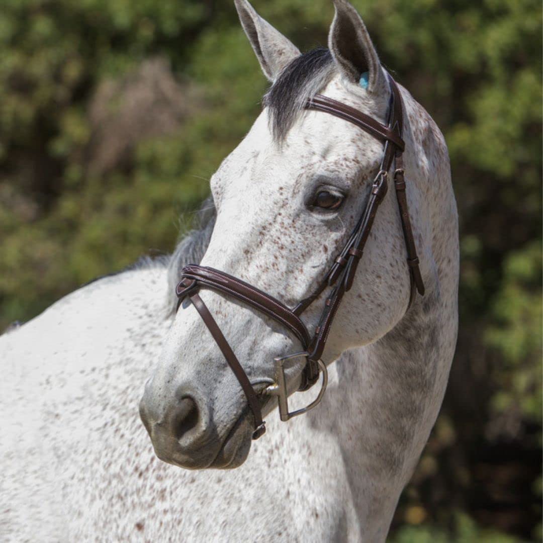 English Bridle Reins for Hobby Horse, Tack Set for Hobbyhorse, Removable  Browband and Noseband -  Finland