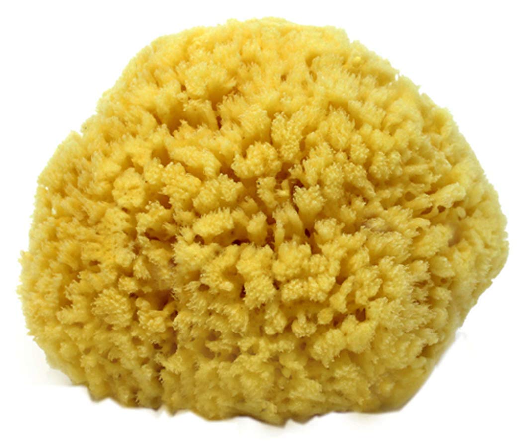 natural sea sponge for baby, natural sea sponge for baby Suppliers and  Manufacturers at