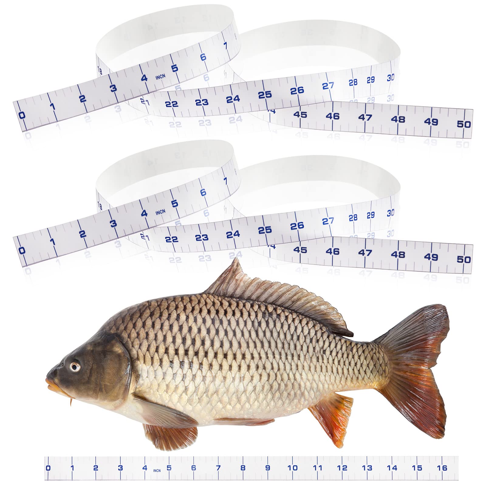 36 Rod Ruler Fish Measuring Decals (2 Pack) - Transparent Stickers Enable  2 Second Fish Measuring on Any Fishing Rod Anytime Anywhere - Made in USA 