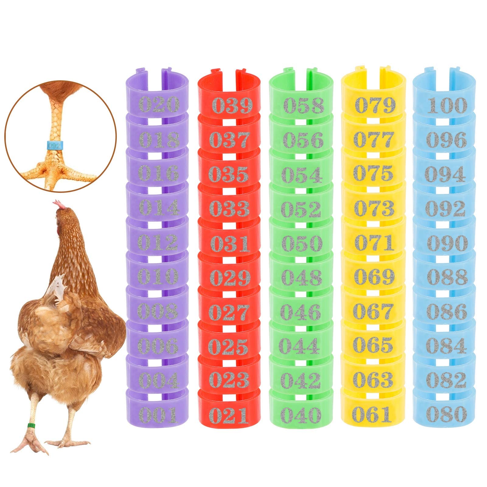 Leg Bands | Customized Leg Bands | Identification Leg ID Tags | Chickens  Quail Pheasants | Your One Stop Poultry Supply Shop!