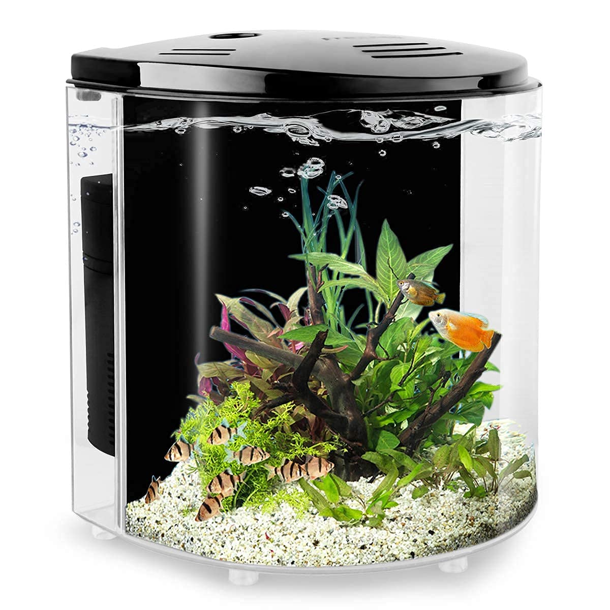 YCTECH 1.2 Gallon Aquarium Starter Kits Betta Fish Tank Goldfish