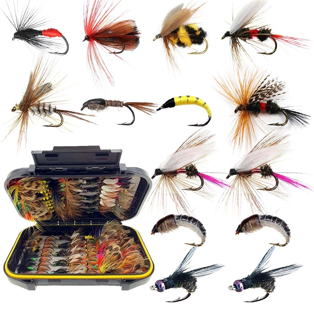 ly Fishing Flies Kit,Fly Fishing Lure Kit,Fly Fishing Baits with  Hooks,100PCS/Box Colorful Lightweight Artificial Feather Wing Fly Fishing  Lure Hook for Trout Salmon Bass, Fly Fishing Flies kit F : : Sports