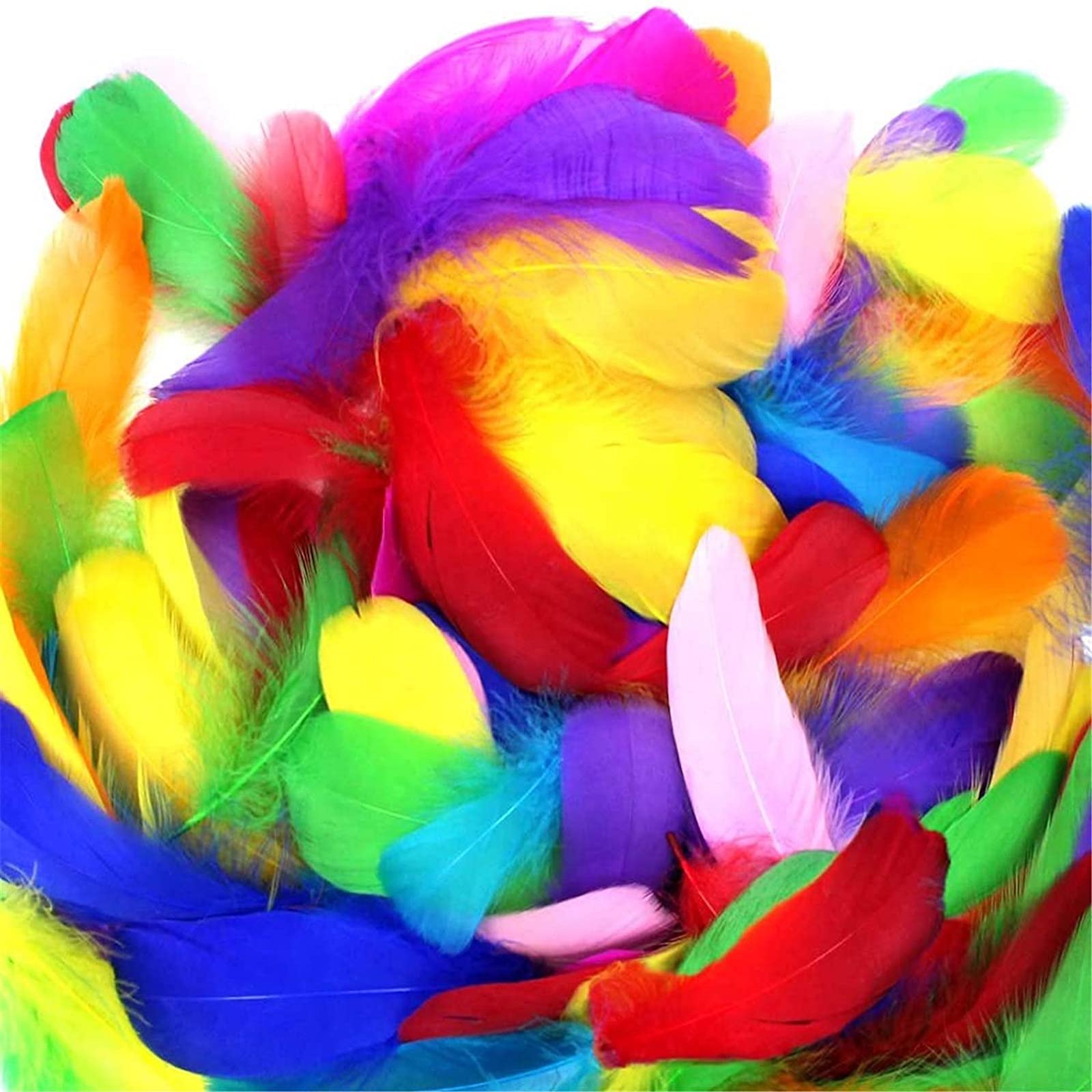 Colorful feathers deals