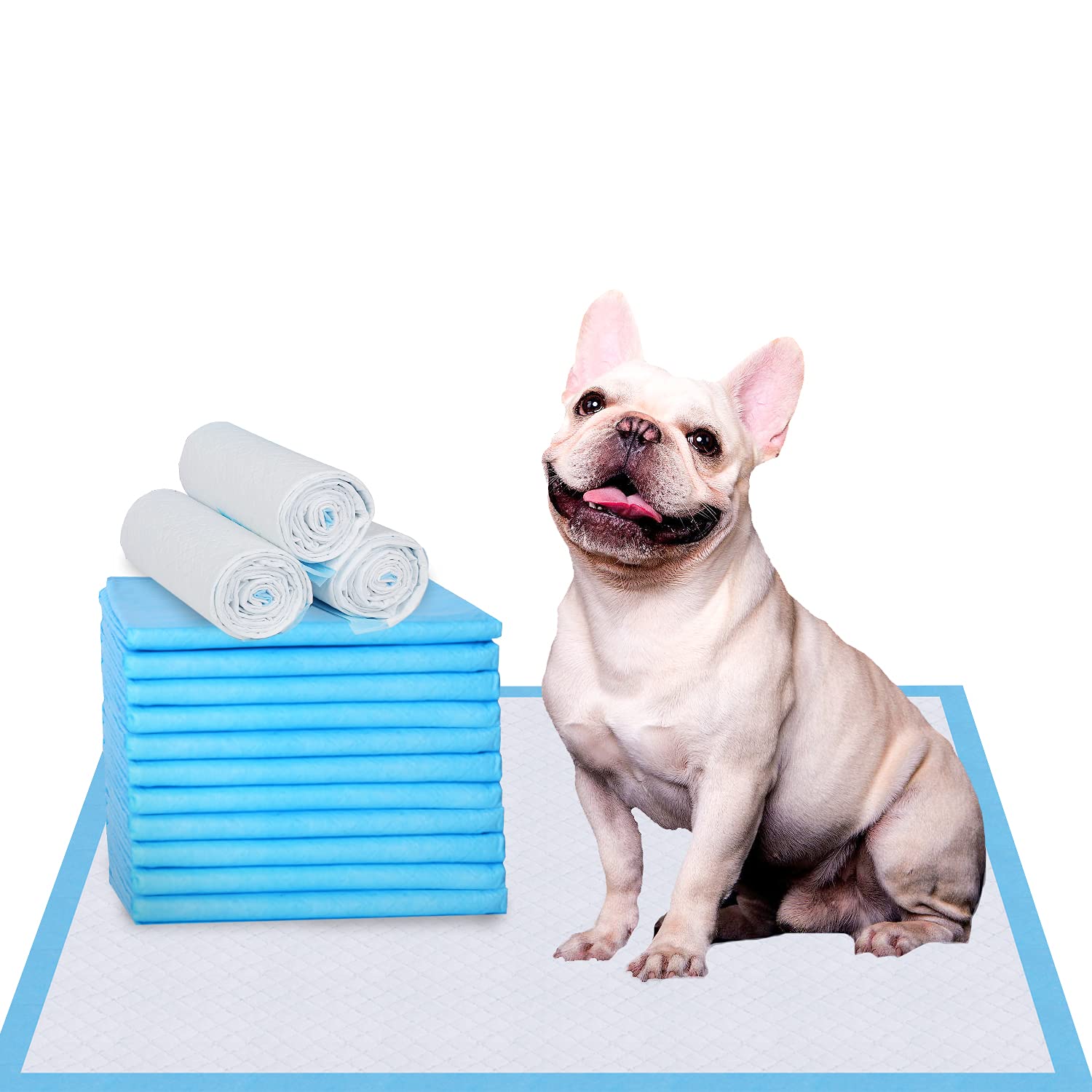 Pet pee clearance pad