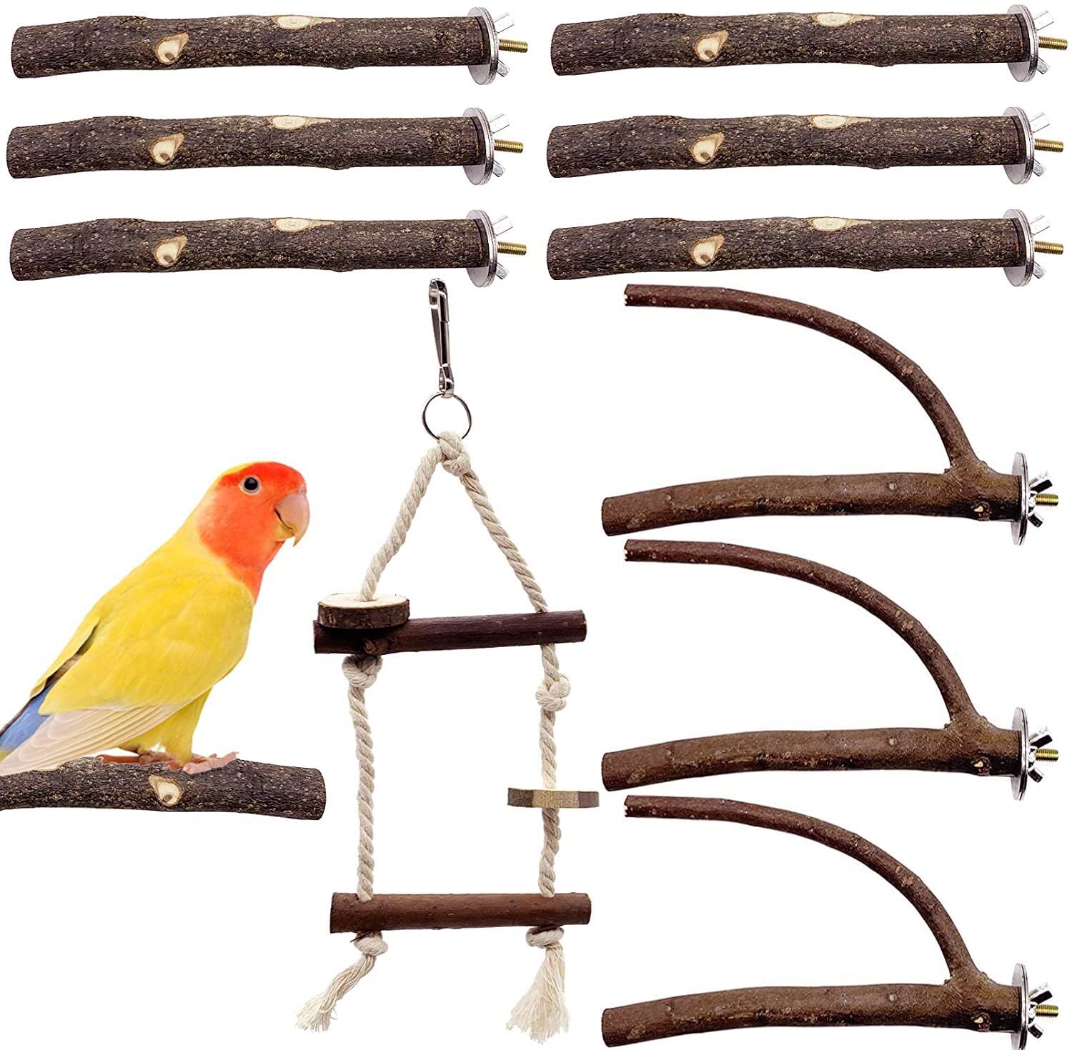 Perches for Pet Birds, Finch Accessories