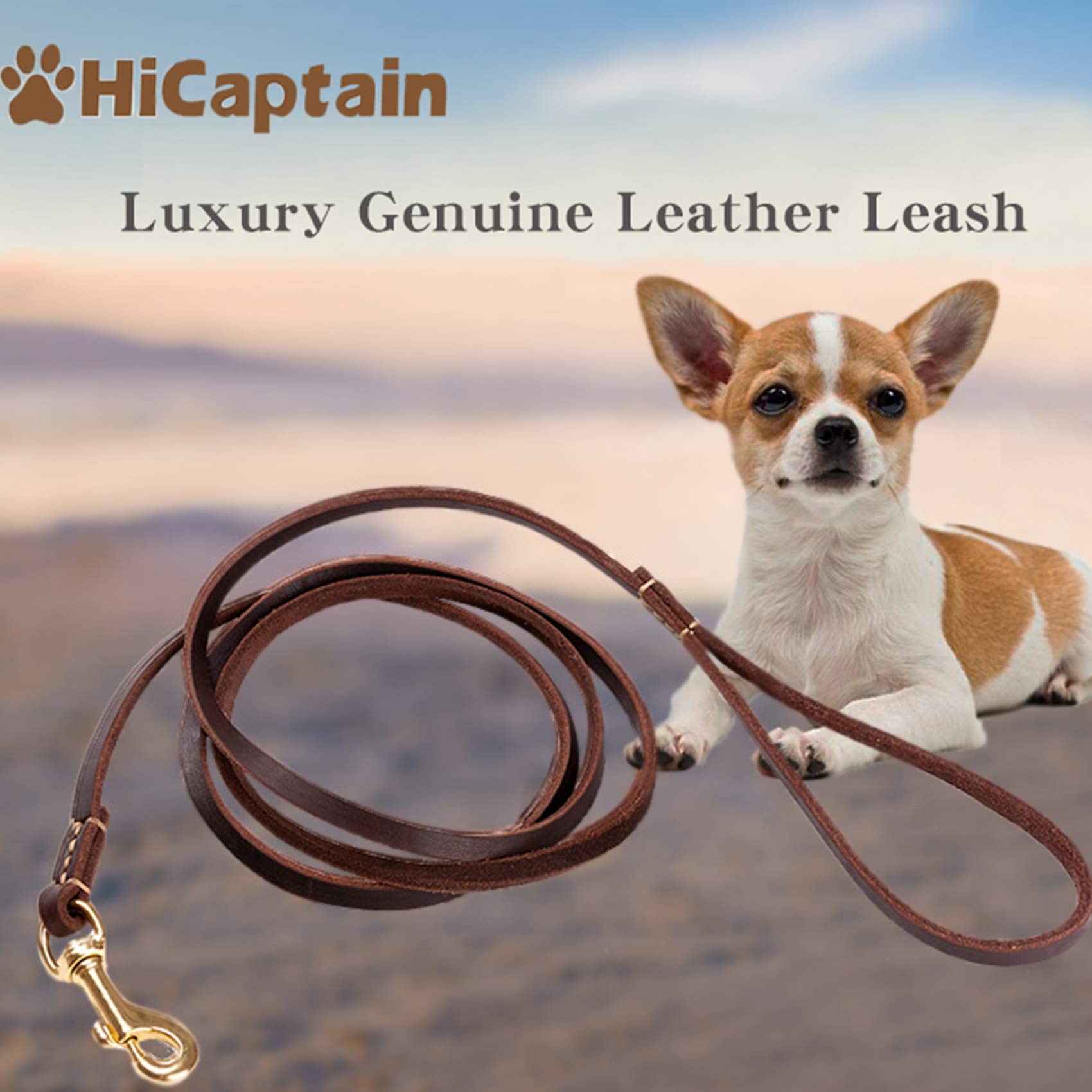 Leather Leash - Six Feet Long