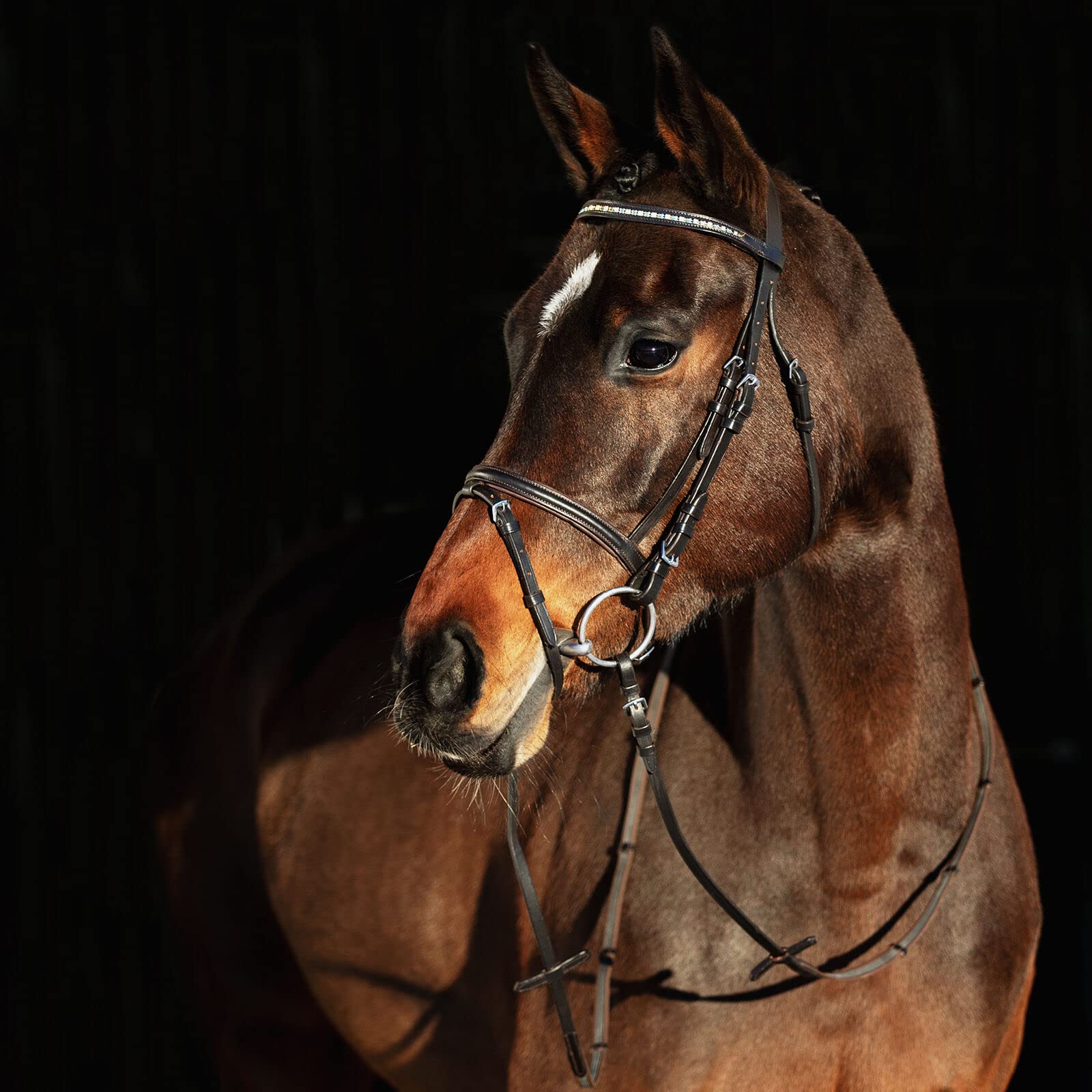 HORZE Weston Padded Leather Horse Snaffle Bridle with Flash