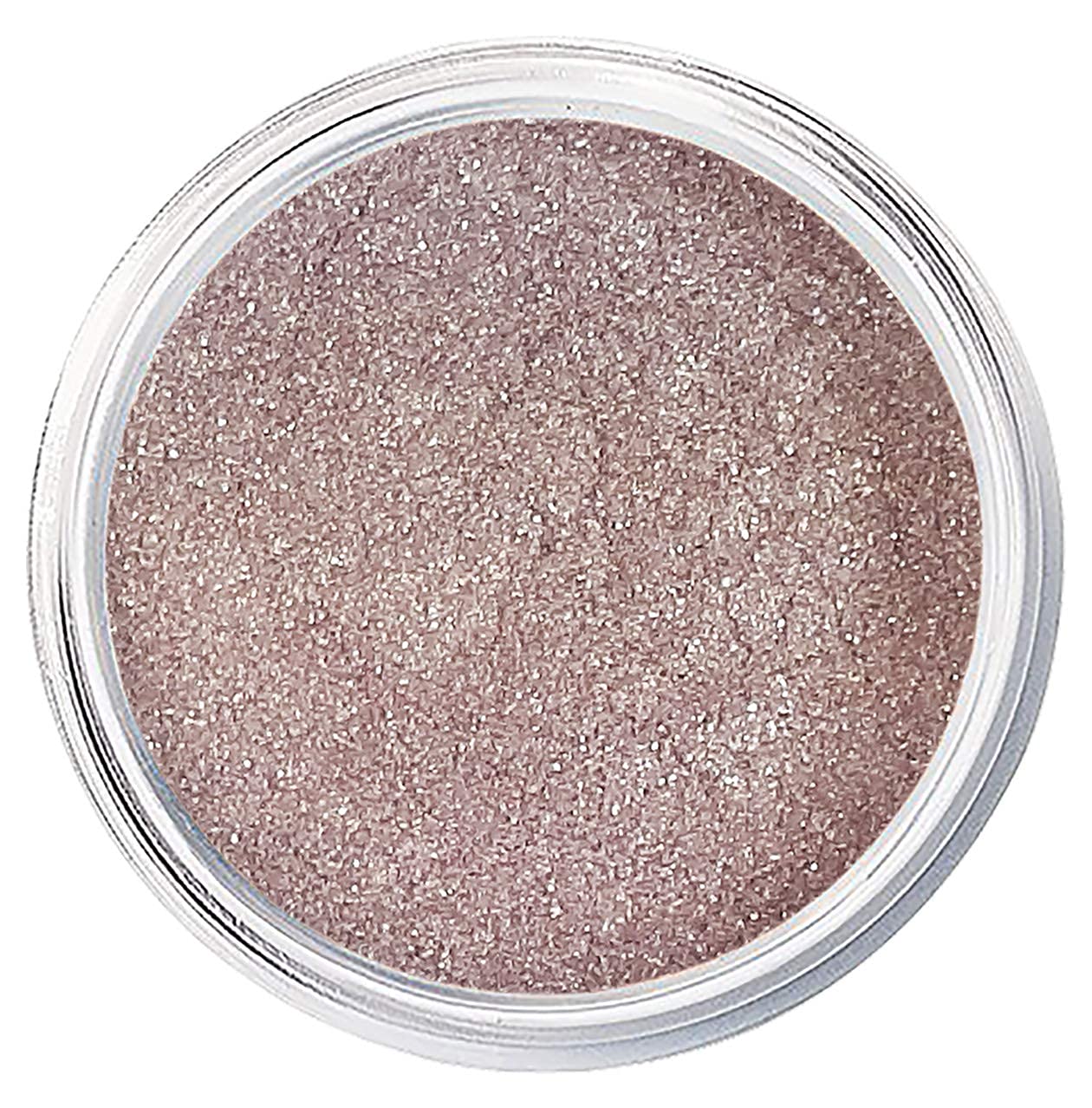 Sparkly Makeup Glitter Loose Powder EyeShadow Silver Eye Shadow Pigment  Powder