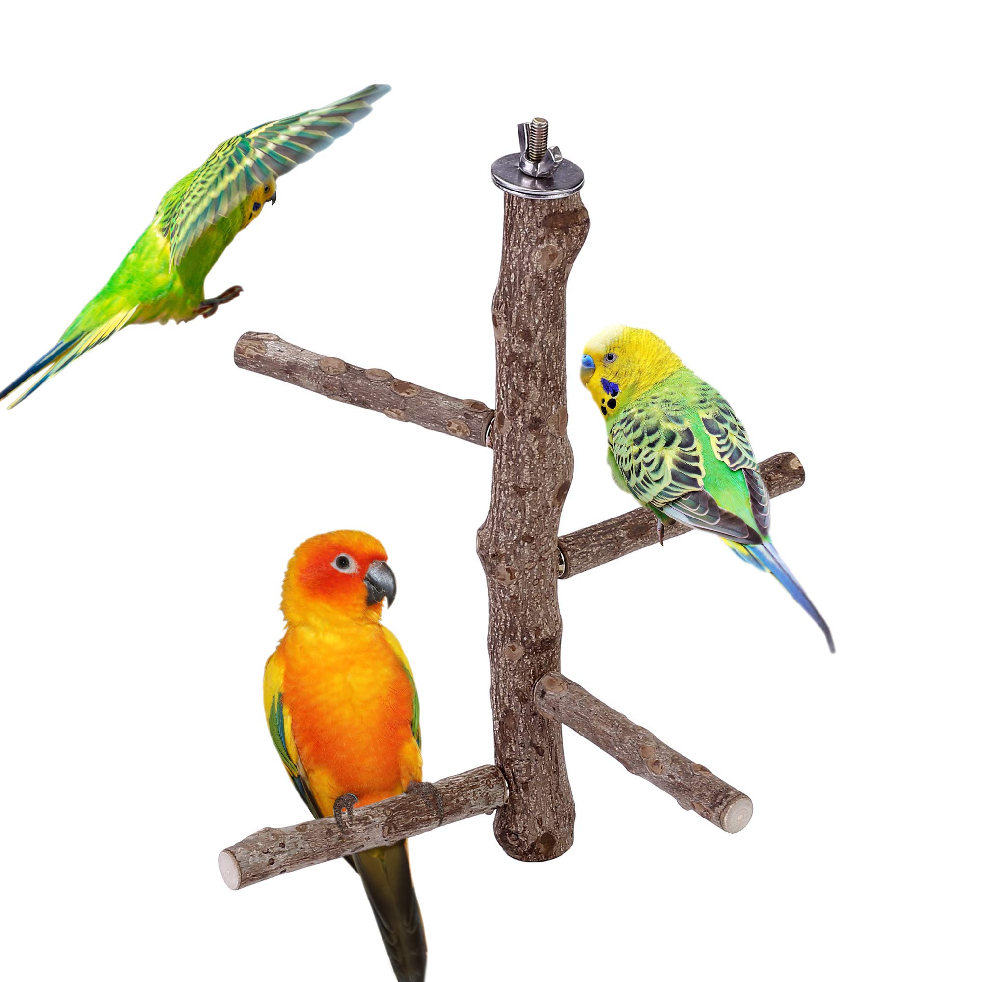 Perch Factory  Over 350 Bird Cage Perches - Budgie to Macaw Sizes