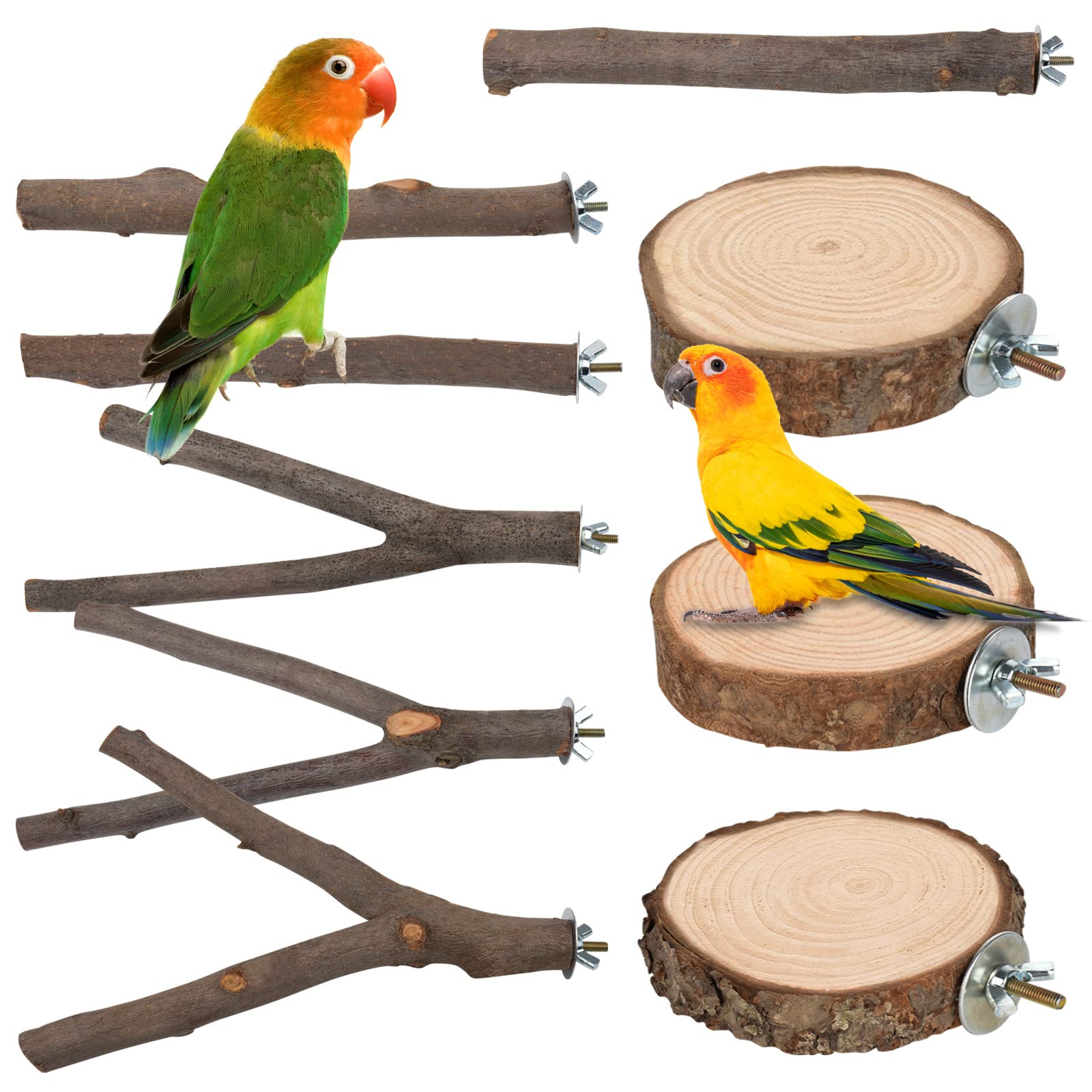  9 PCS Bird Perches Stand Toy, Natural Wood Parrot Perch Stand  Bird Cage Branches Platform Accessories for Parakeets Cockatiels Conures  Macaws Finches Love Birds : Pet Supplies