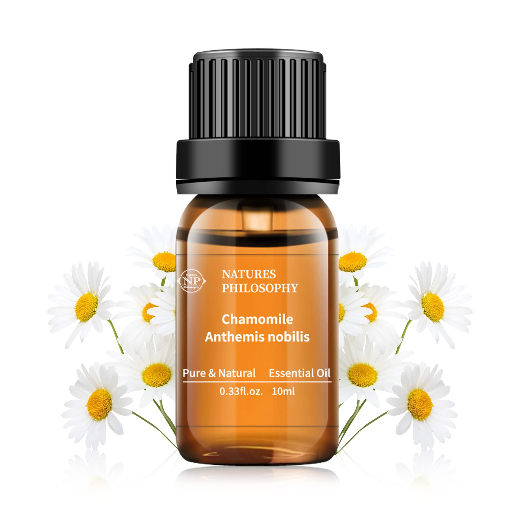 Chamomile Essential Oil,100% Pure Organic Roman Chamomile Essential ...