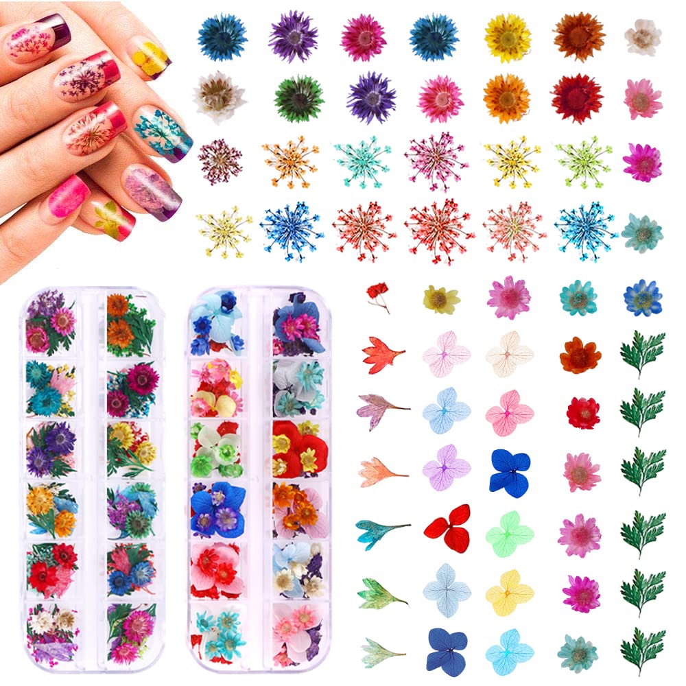 YesLady Nail Art Natural Real Dried Flowers 3D Art DIY Manicure Sticker  Accessories 12 Colors