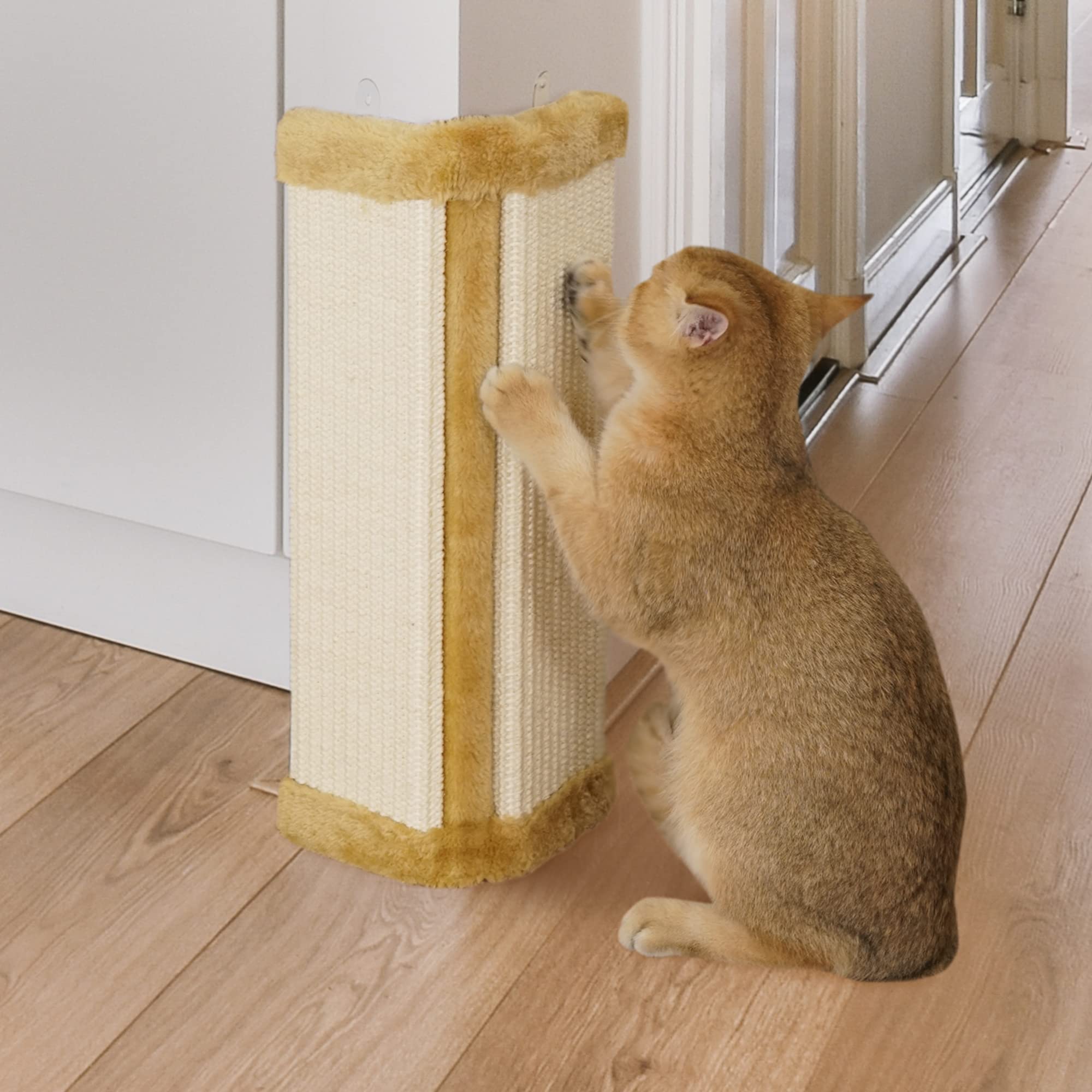 Cat Wall Scratcher Sisal Fabric,Cat Scratcher Wall Mount,Cat  Scratching Post for Indoor Cats,Cat Scratch Pad for  Wall,Floor,Door,Window,with Suction Cup and Adhesive Pad (Orange) : Pet  Supplies