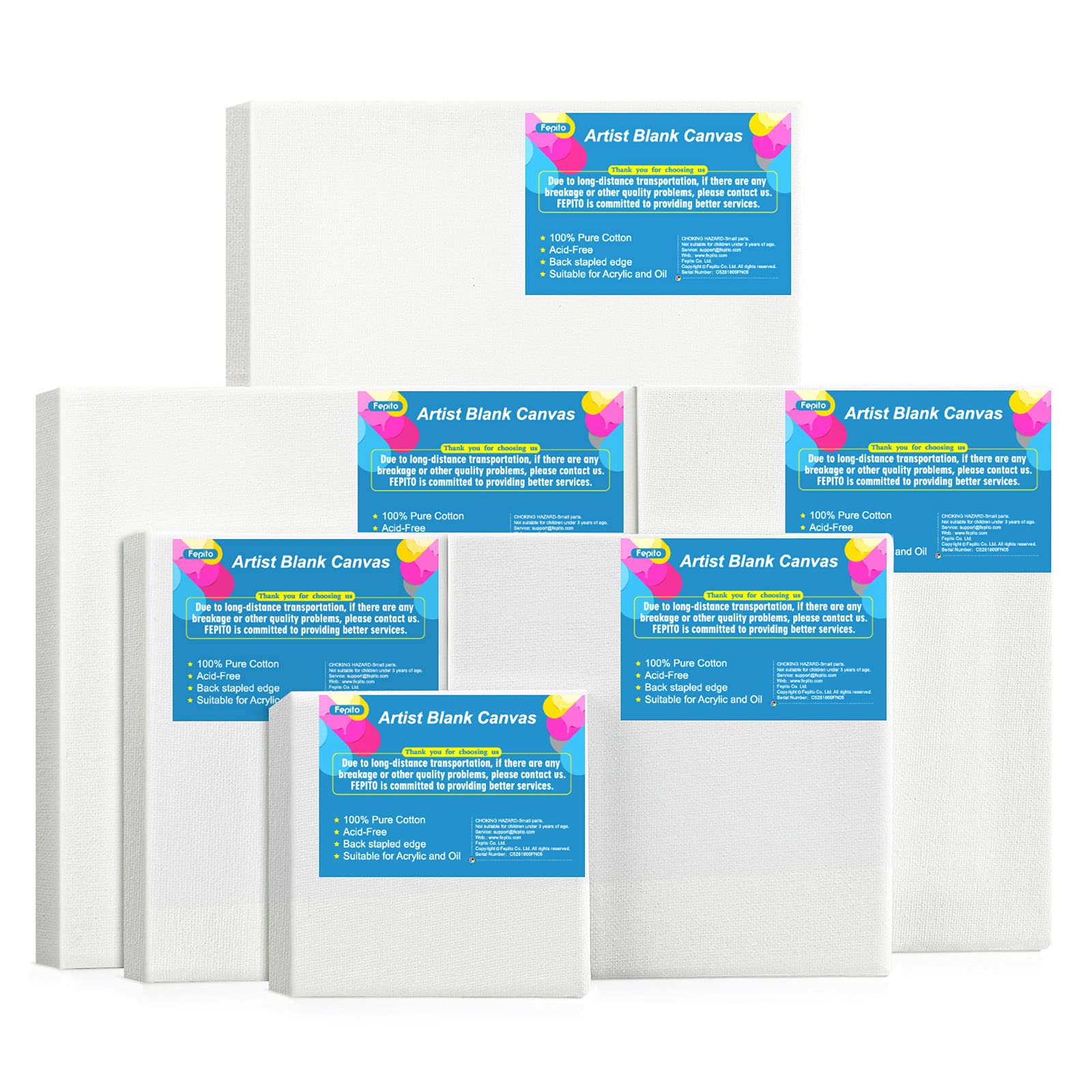 FEPITO 6 Set Artist Blank Canvas Assorted Size Art Canvas Frame