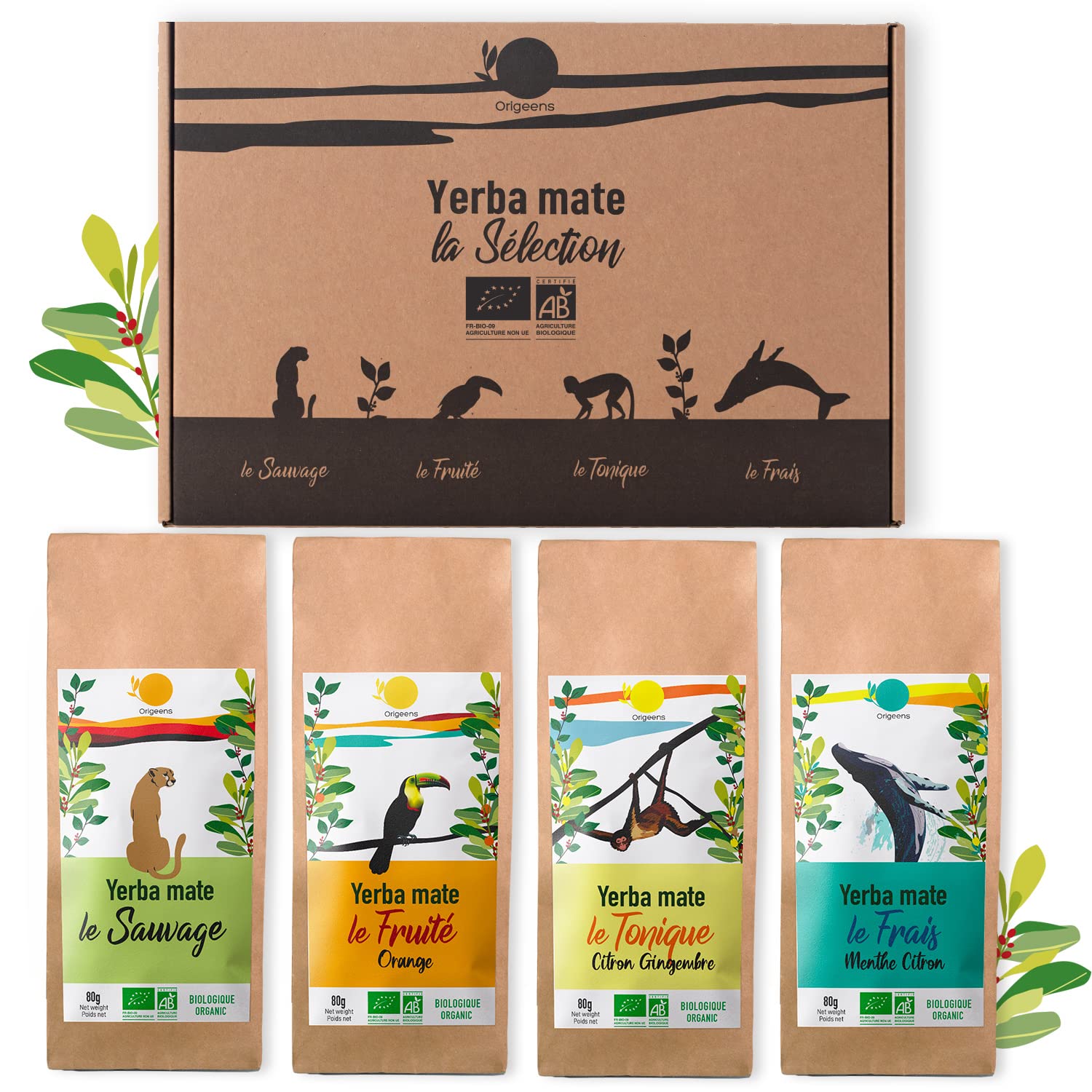 ORIGEENS ORGANIC YERBA MATE SET x4, Organic Yerba Mate Tea 4x80gr