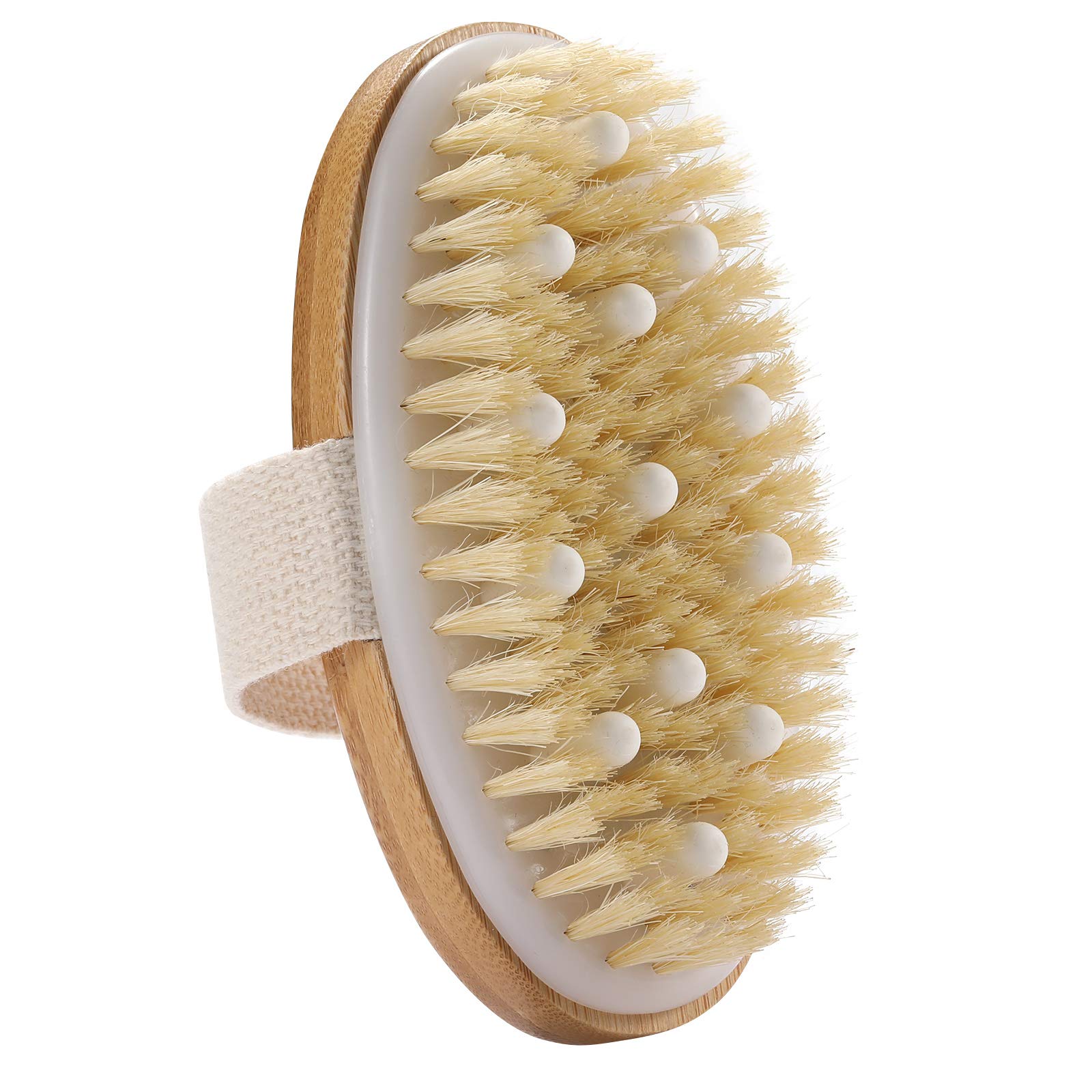 Natural Wild Boar Bristle Body Brush for Exfoliation and Soft Skin ...