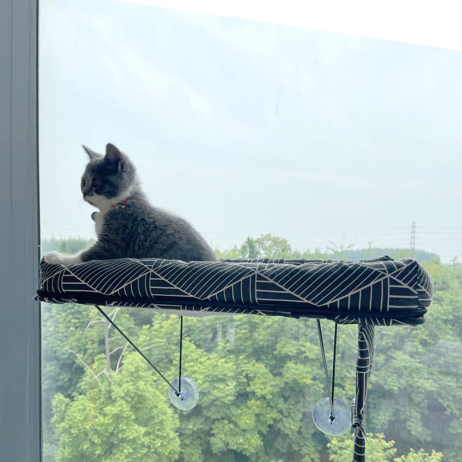 Cat Window Perch - Sunbathing Time, Cat Stair