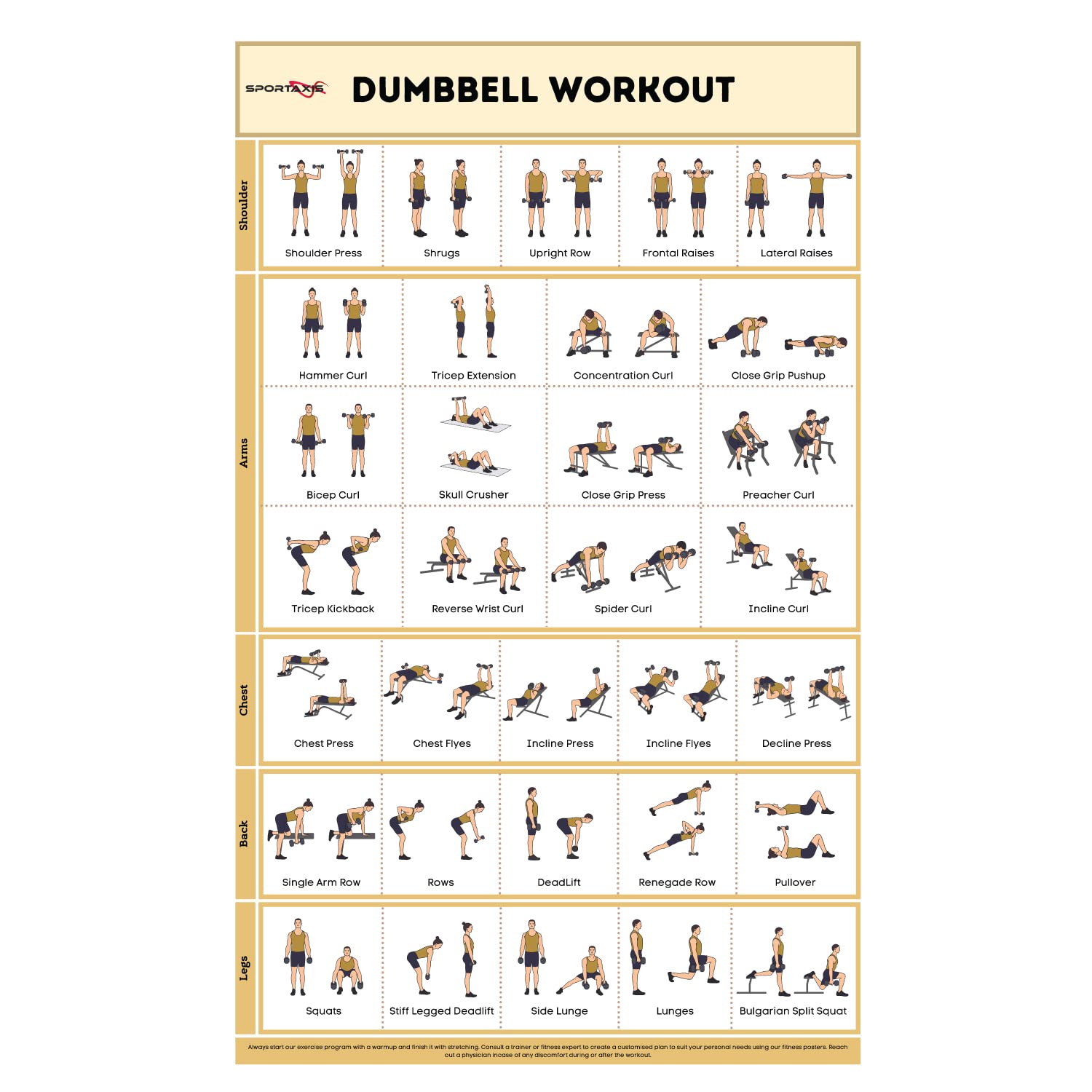 SPORTAXIS- No-Equipment Laminated Dumbbell Workout Poster with Colored ...