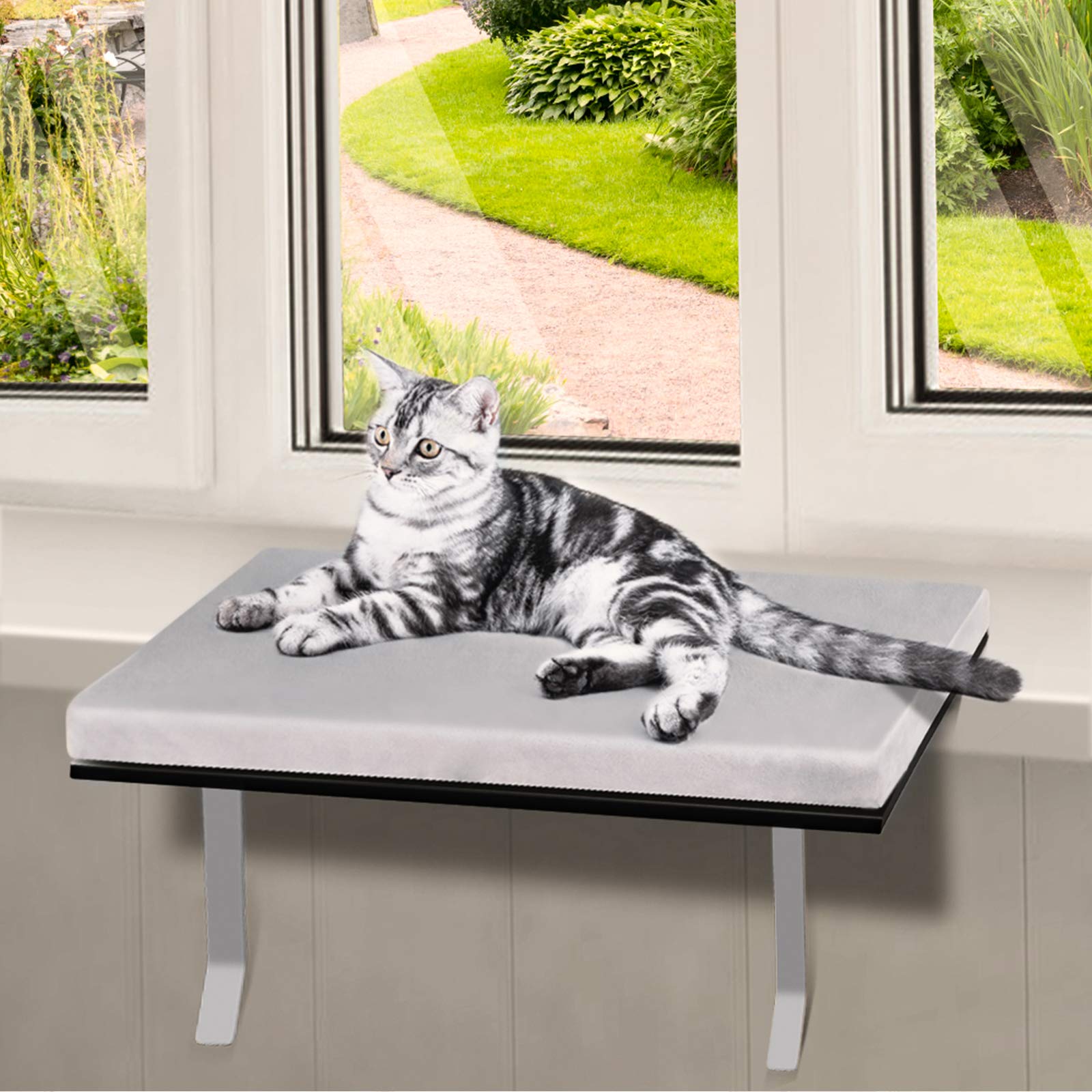 Window mounted store perch for cats