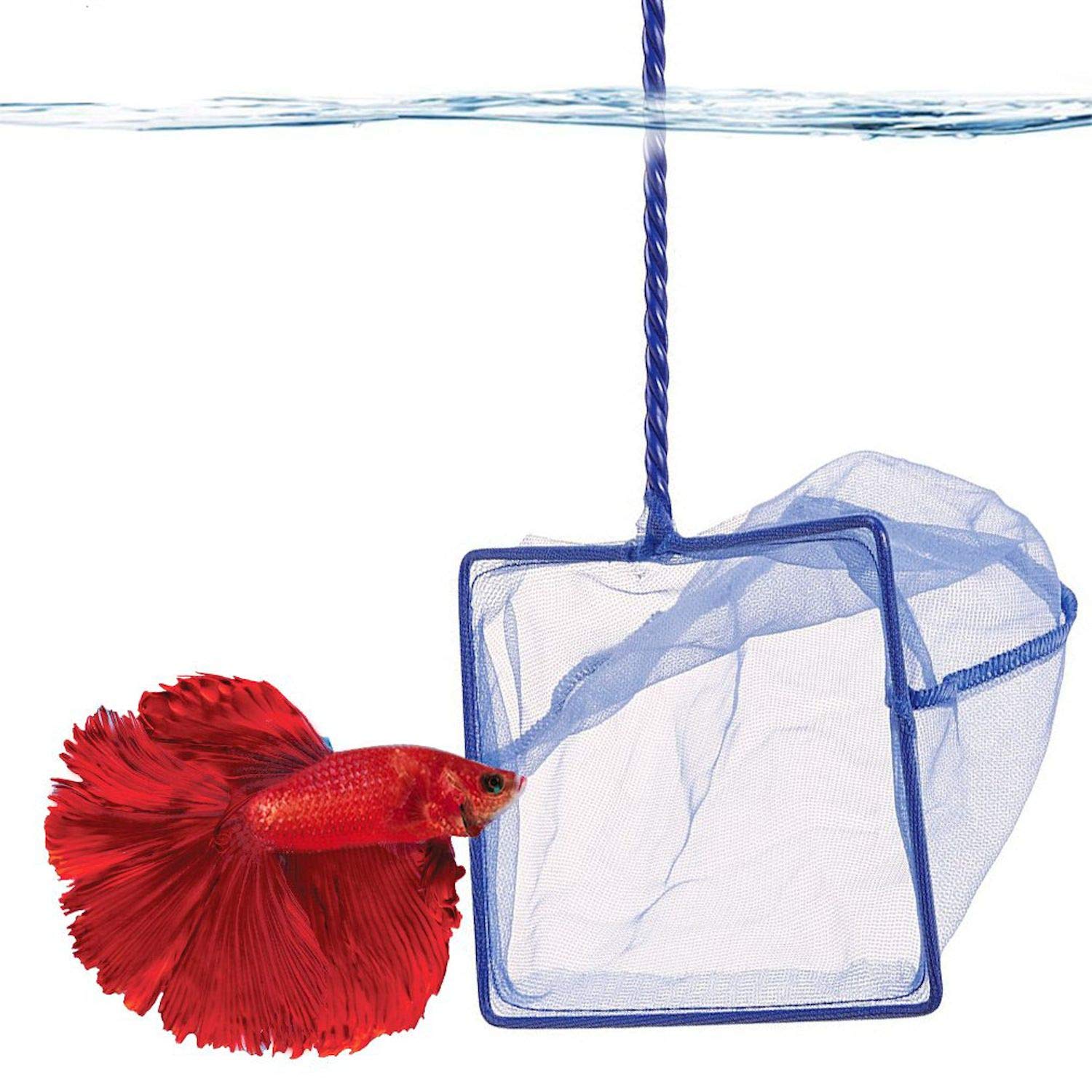 SunGrow Betta Fish Net, Protect Delicate Fin, 5x4 Inches with 11