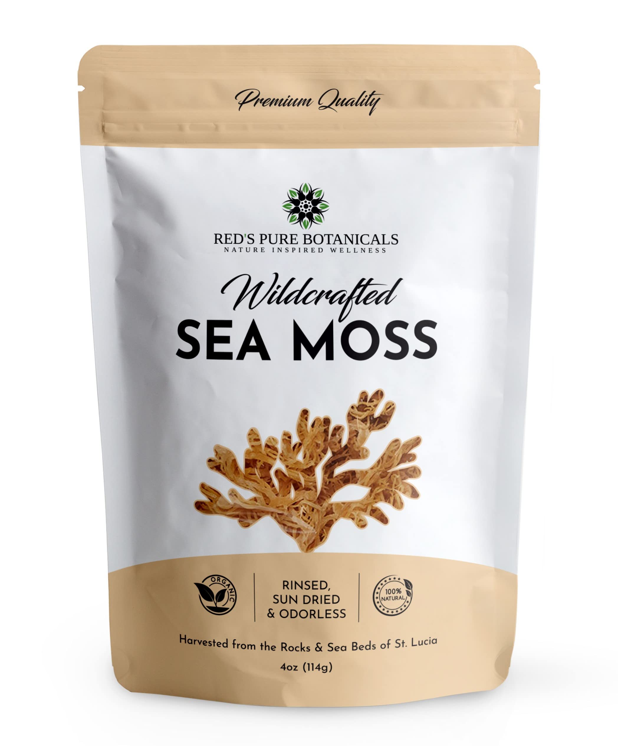 Dr Sebi Grade Sea Moss Raw Organic Wildcrafted Irish Sea Moss by Real Rock  Products, LLC 