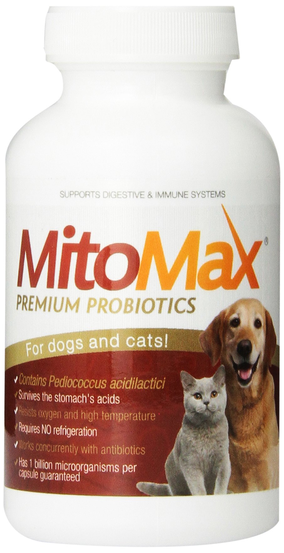 Probiotics for dogs on clearance antibiotics