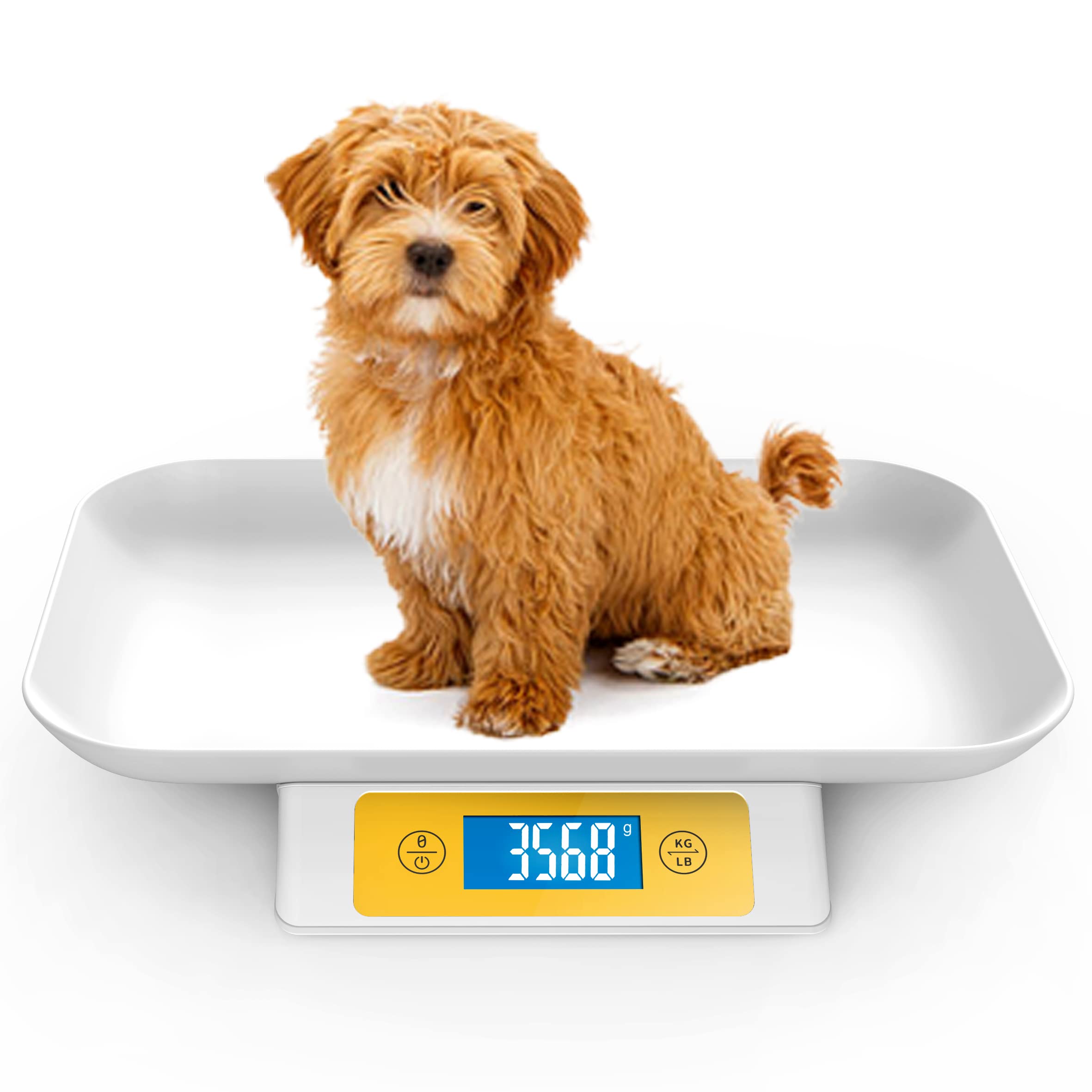 ICARE-PET Digital Pet Scale for Puppy and Cats, Puppy Whelping Supplies Scale, Weigh Capacity 33 lbs (0.03oz), Removable Tray Size 13.4 x