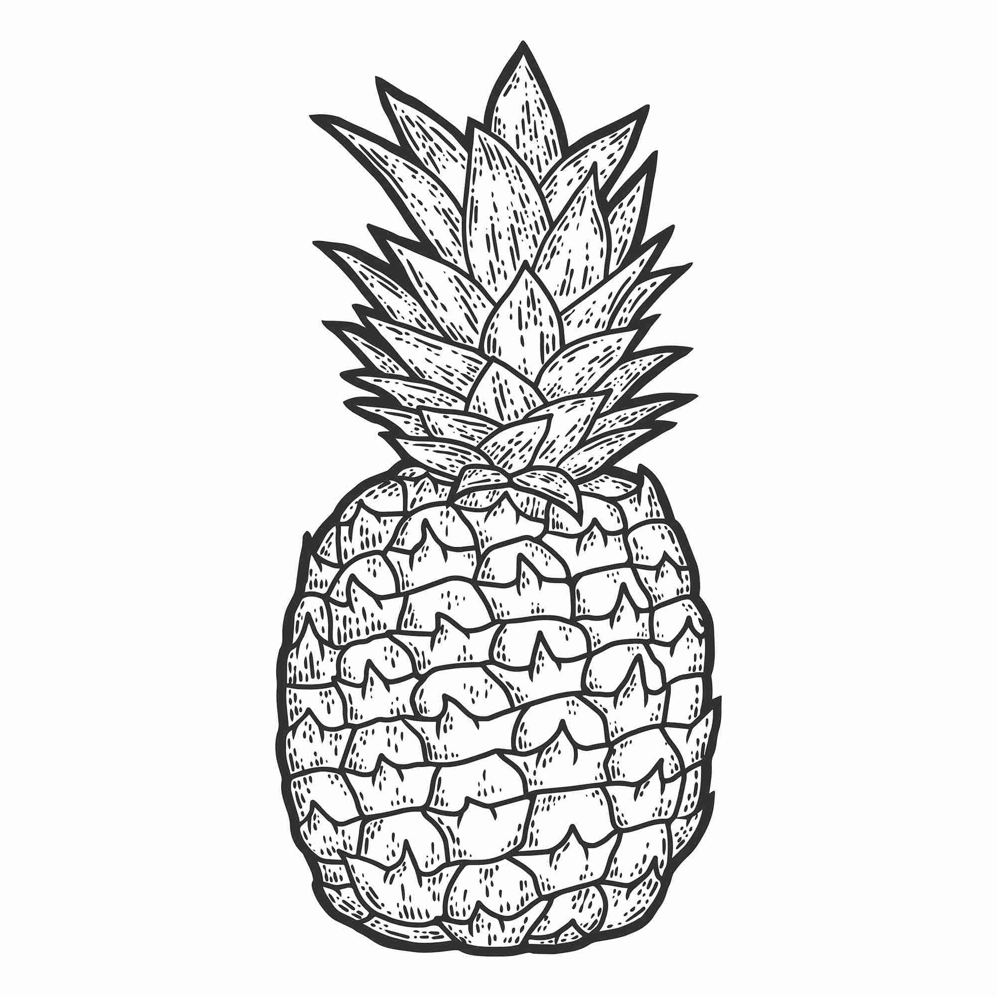 Pineapple hand drawing old school tattoo Vector Image