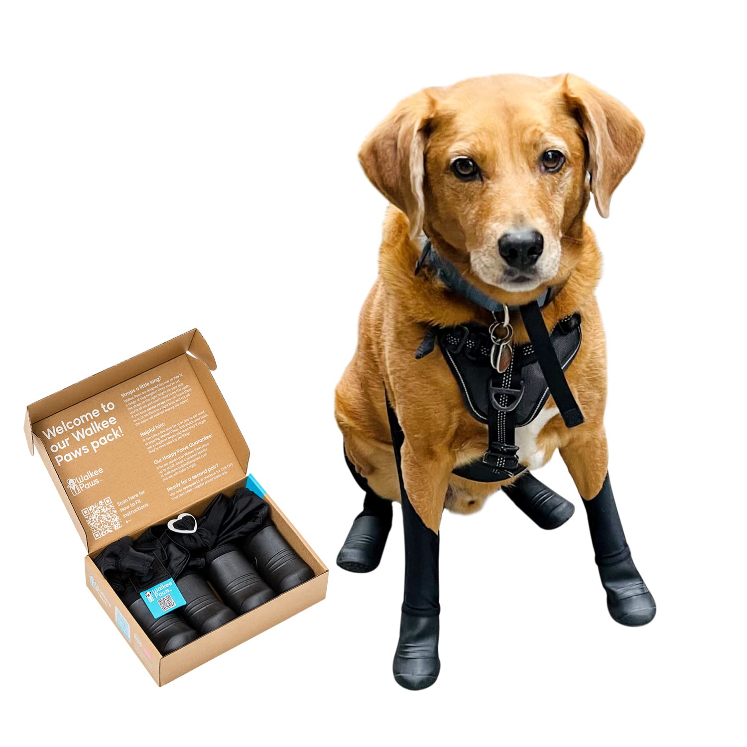 Walkee Paws New Deluxe Easy-On Dog Boot Leggings, Seen on Shark Tank,  Protects from Winter, Cold, Wet & Snow, Allergens & Chemicals, Never Lose a  Boot Shoe or S… | Dog booties,