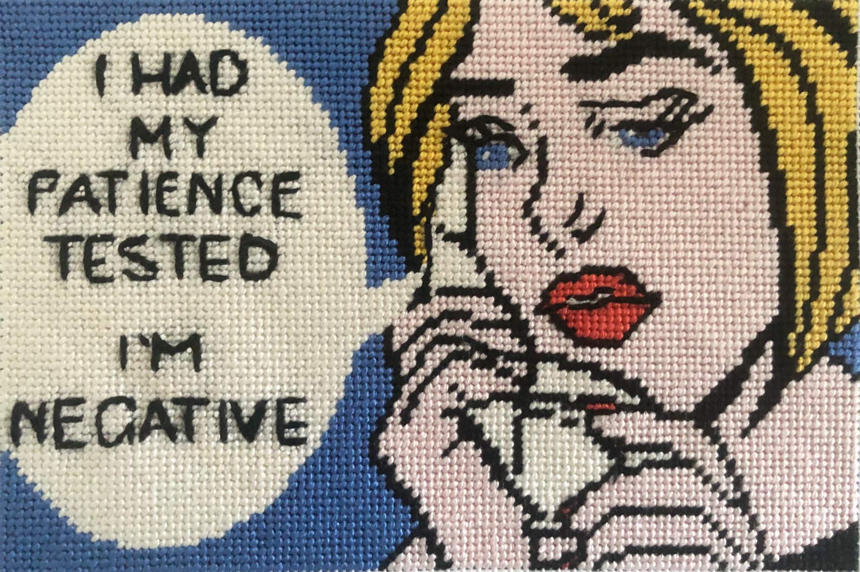  Funny Needlepoint Kits