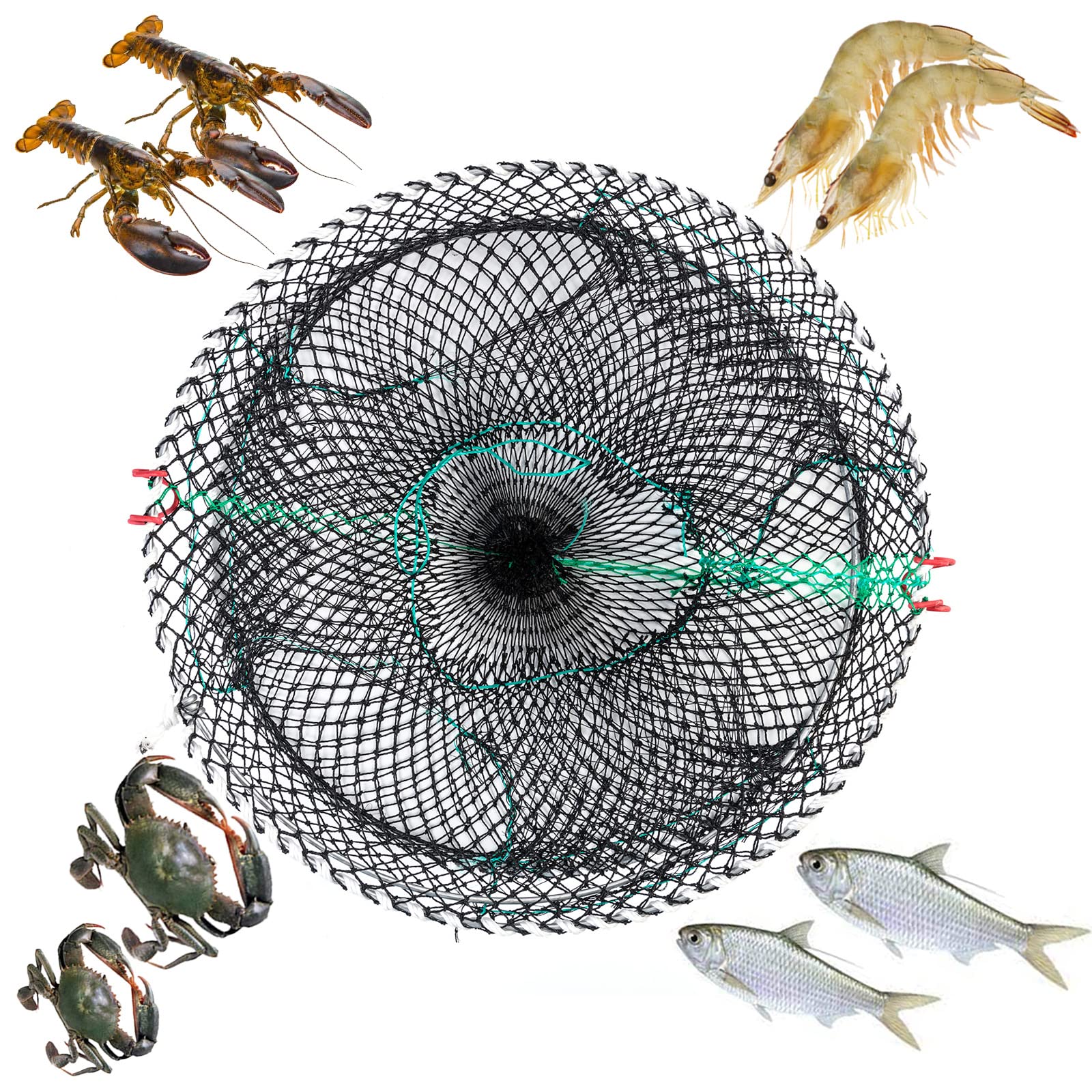Fishing Bait Trap,Crawfish Trap Foldable Crab Fish Trap 8 Hole Nylon Rope  Easy Use Hand Casting for Catching Small Bait Fish Eels Crab Lobster  Minnows Shrimp : : Sports & Outdoors