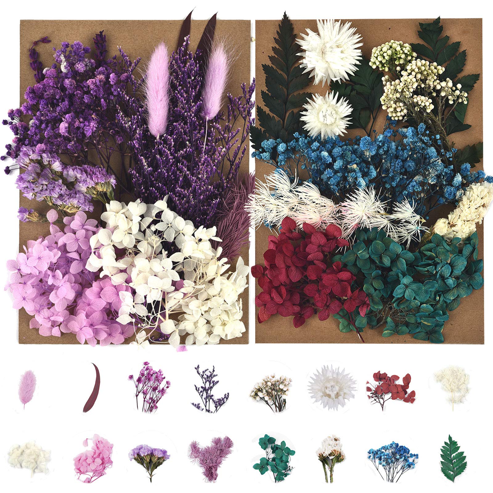  DALARAN 6 Pack Pressed Flowers for Candle Making DIY Dried  Flowers Multiple Natural Pressed Flowers Colorful Decorative Dried Flowers