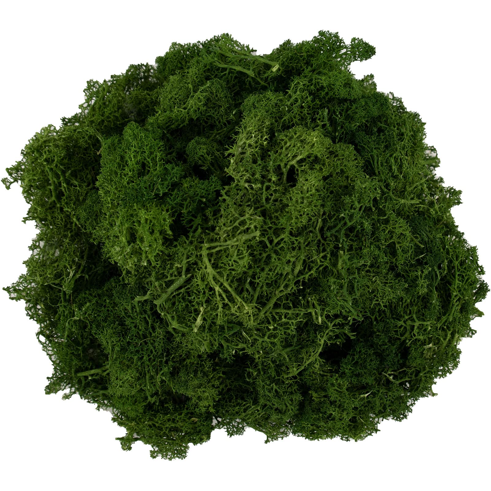 Northlight Reindeer Moss Potted Artificial Spring Floral Topiary Tree - Green