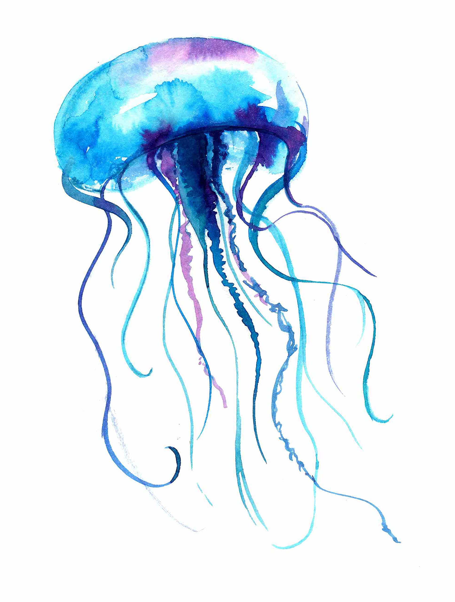 Jellyfish illustration Black and White Stock Photos & Images - Alamy