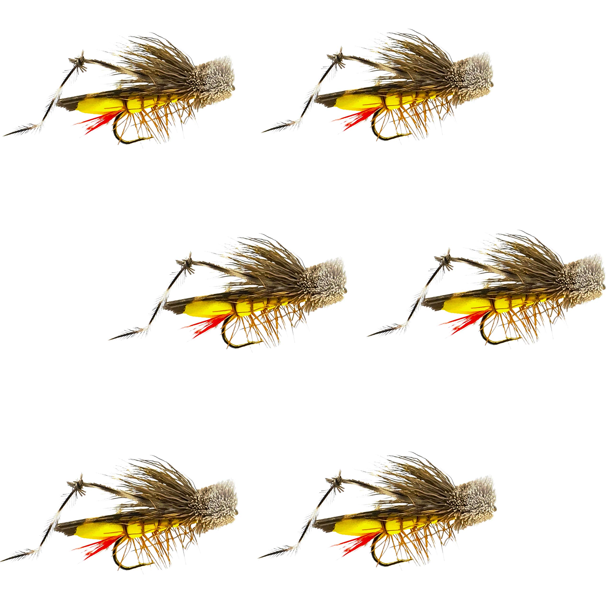 Dave's Hopper Dry Fly Fishing Set - 6 Pcs, Hook Size #10 - Topwater  Terrestrial Grasshopper Flies for