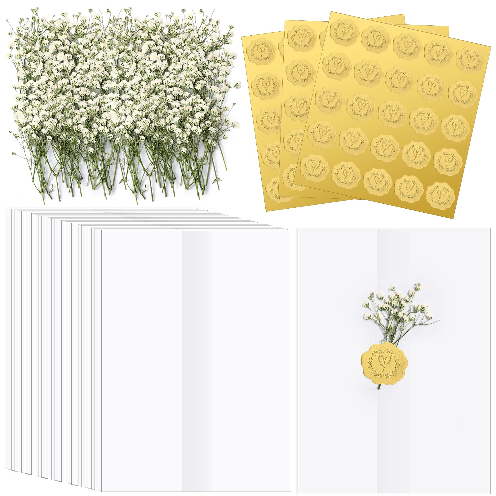 Fabbay Wedding Invitations Wraps Set Include Pre Folded Vellum Jackets for  5x7 Invitations Natural Dried Pressed Flowers Gold Self Adhesive Envelope  Seal Stickers for Craft DIY(50)