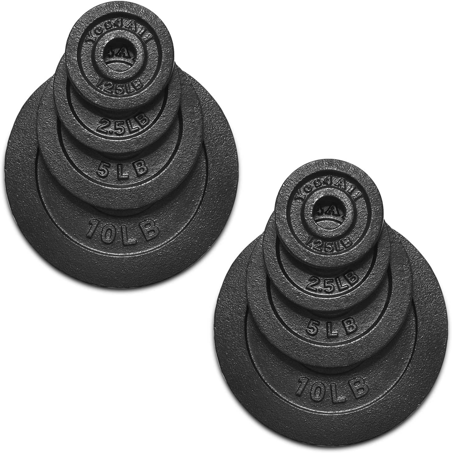 Yes4all 1-Inch Cast Iron Weight Plates for Dumbbells Standard Weight