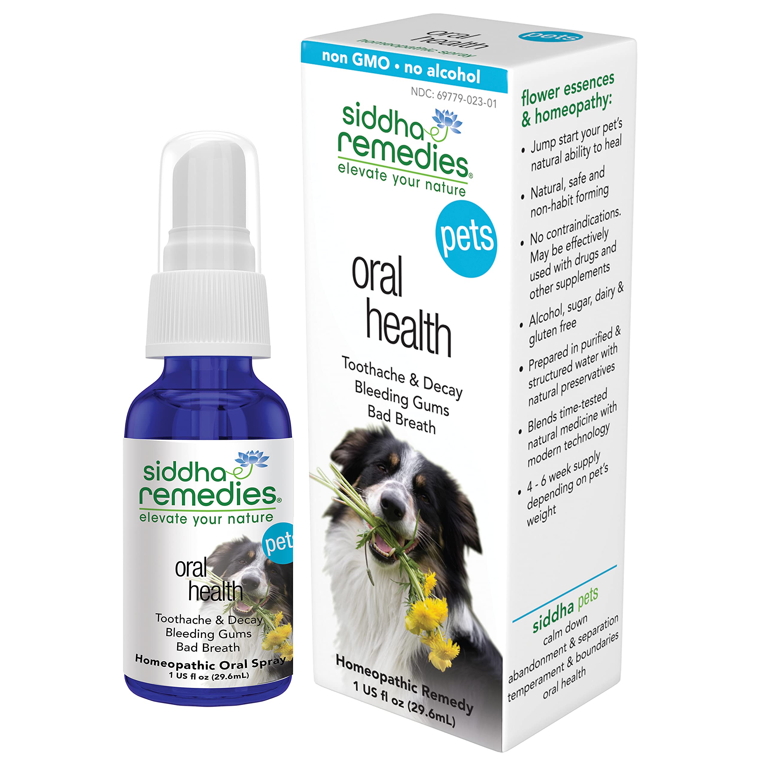 are homeopathic remedies safe for dogs