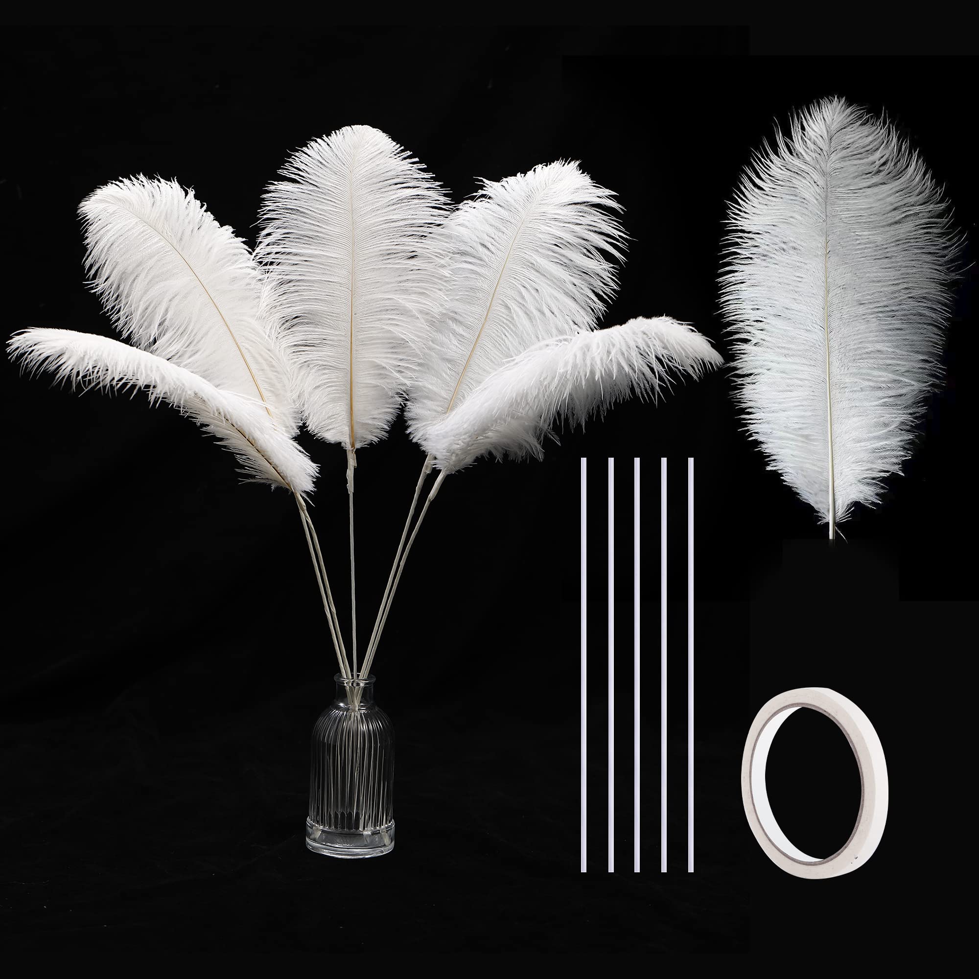 Holmgren White Ostrich Feathers Bulk - 20pcs Making Kit 22 Inch